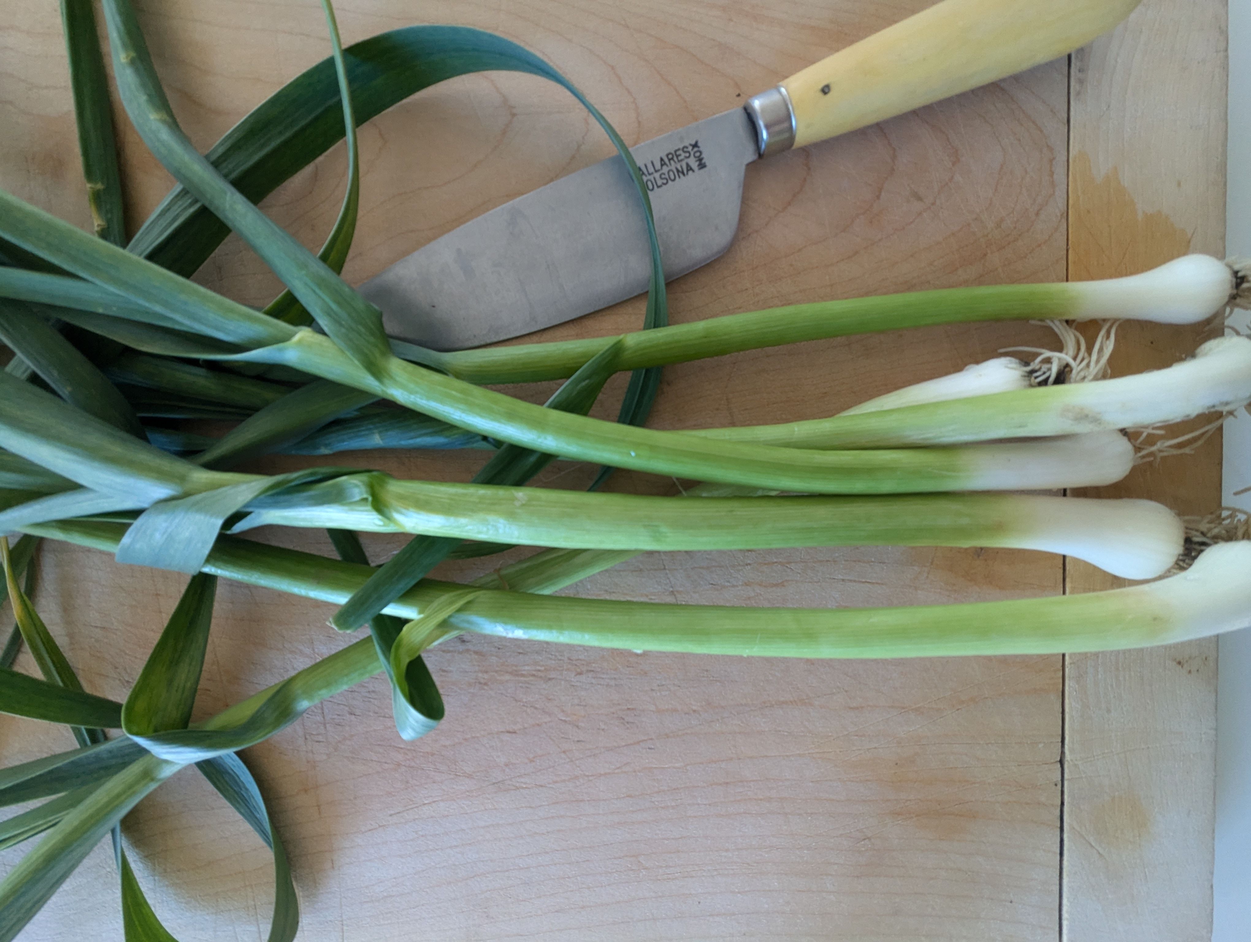 Image of 4 Ways With Our Green Garlic