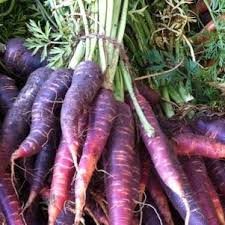 PYO Bunched Purple Carrots