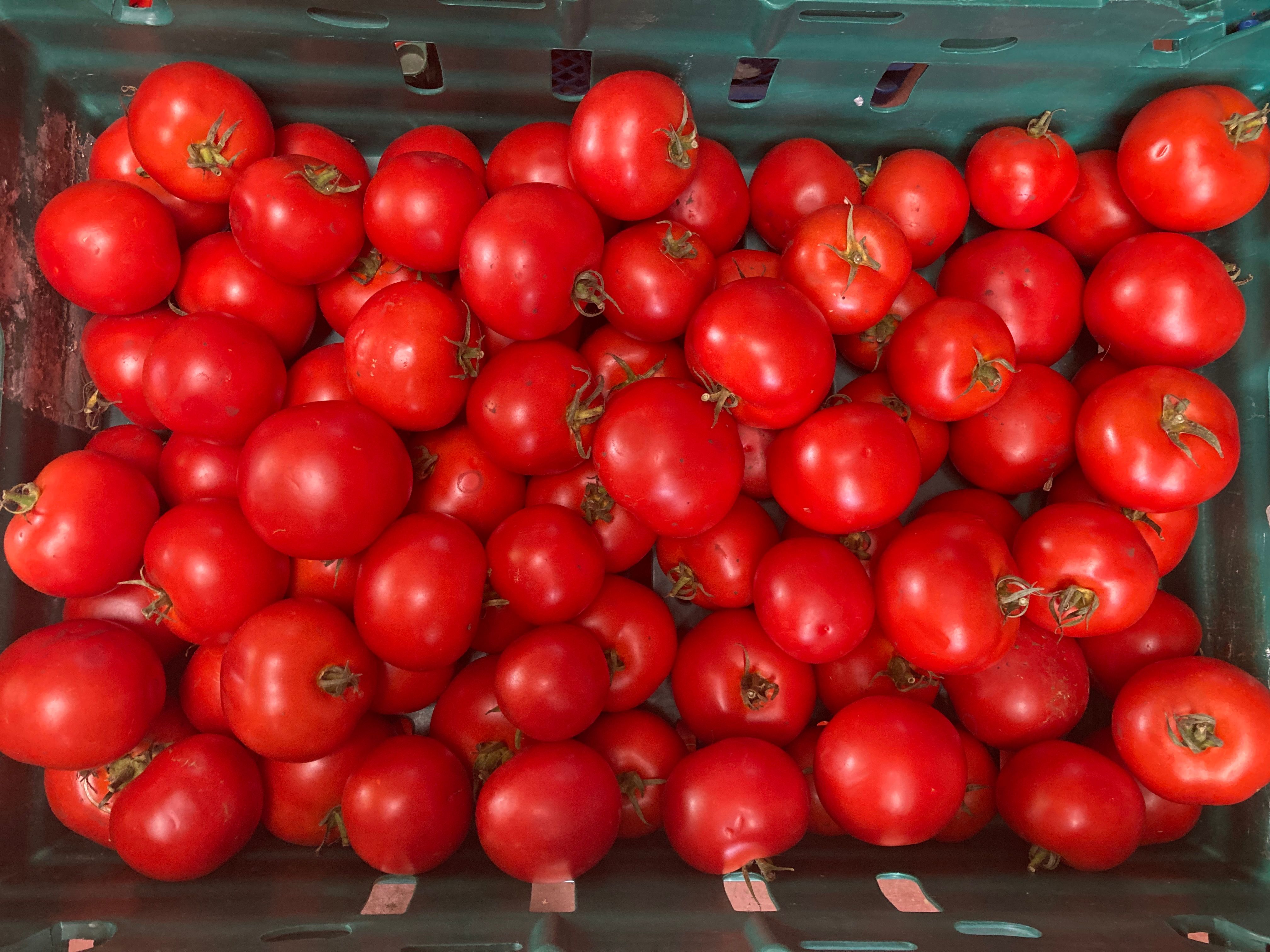 Image of Passata Tomato box 10kg 