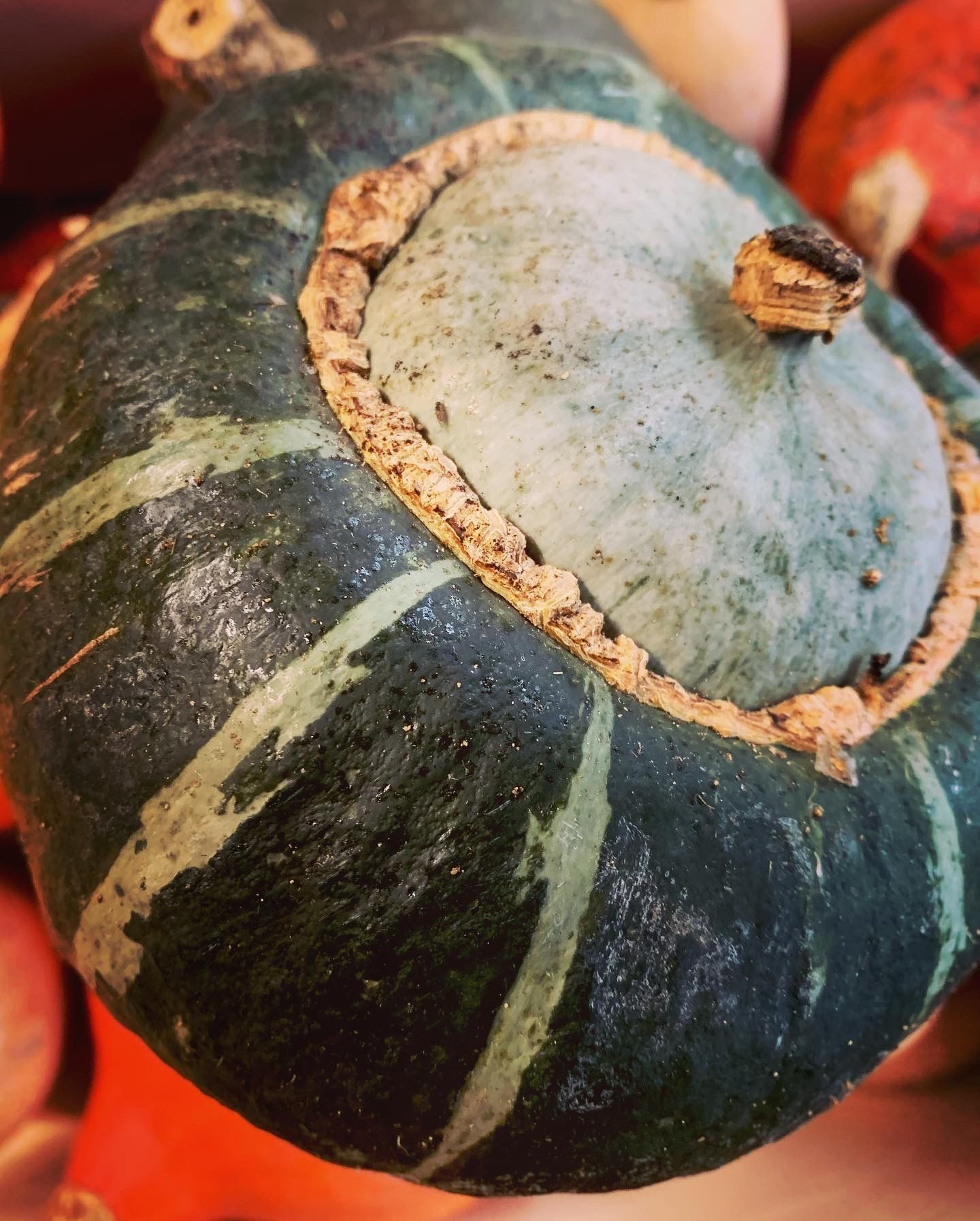 Image of Terms & Conditions