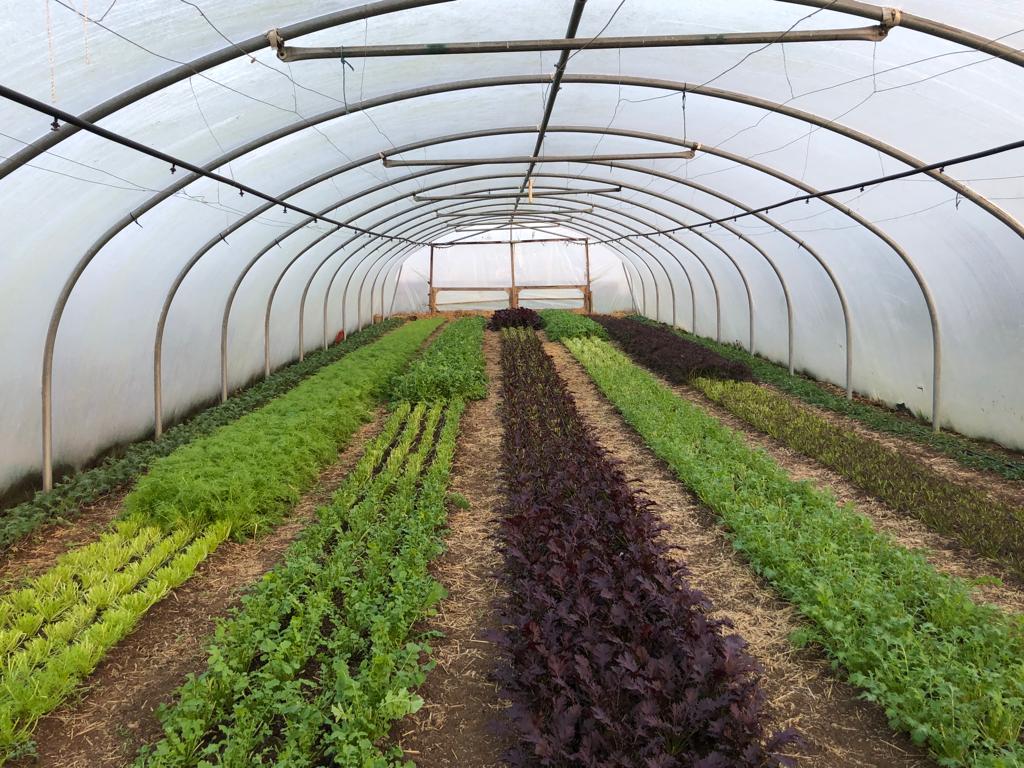 Image of Delivery area and hubs