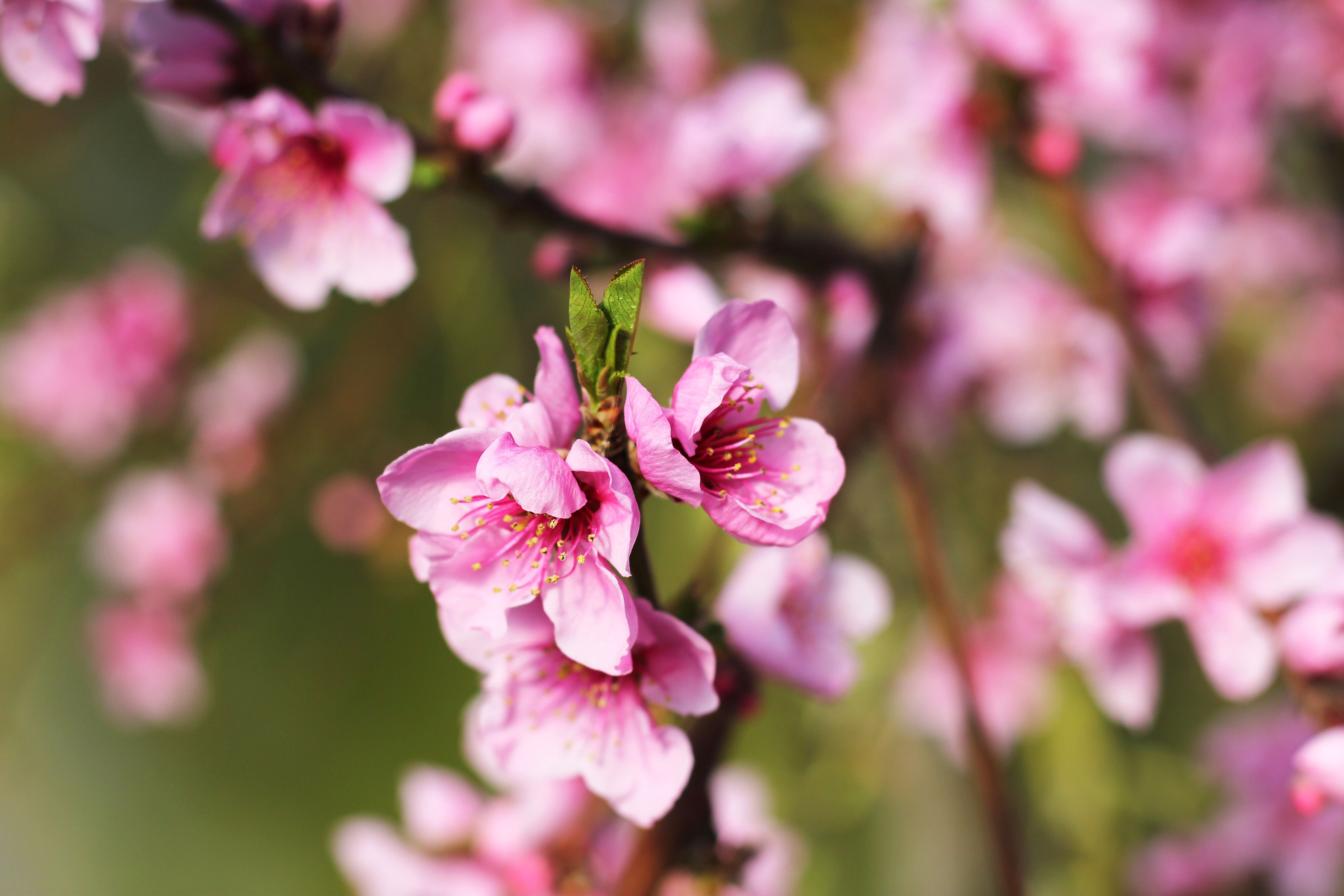 Image of Terms & Conditions