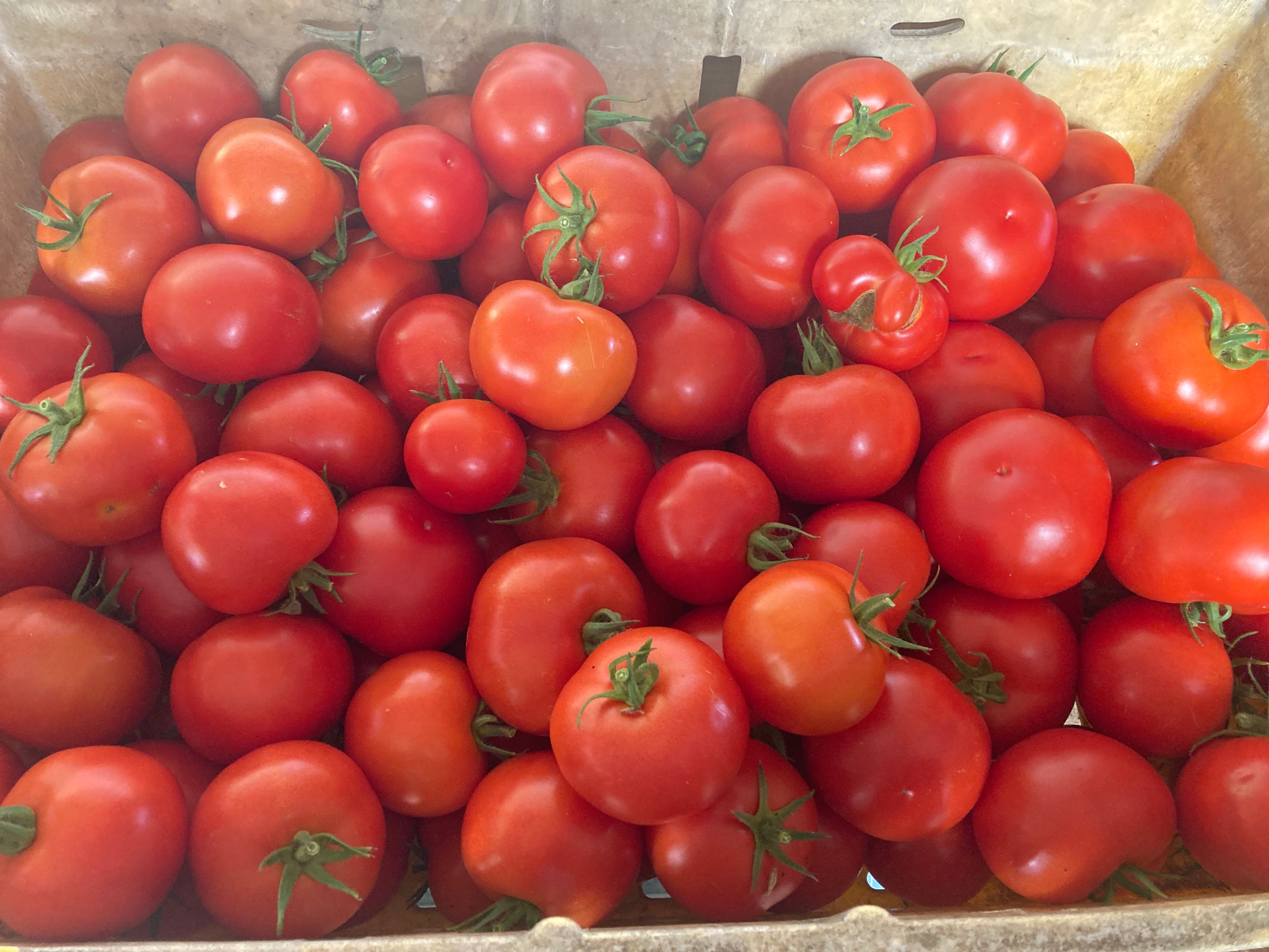 Passata Tomato box 20kg