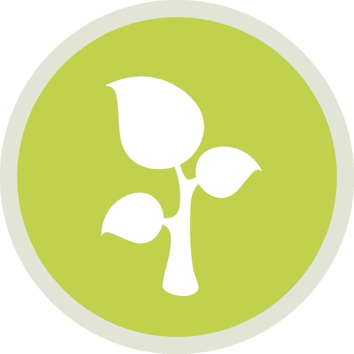 Large Festive Trimmings Veg Box