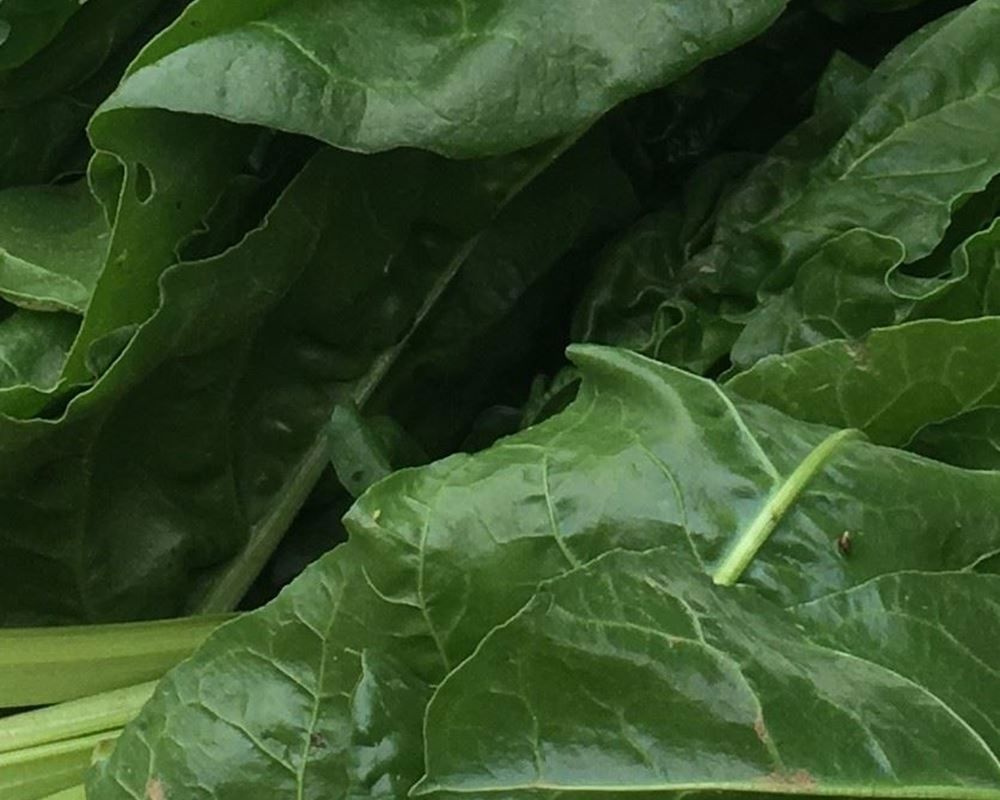 Image of Spinach - Beet