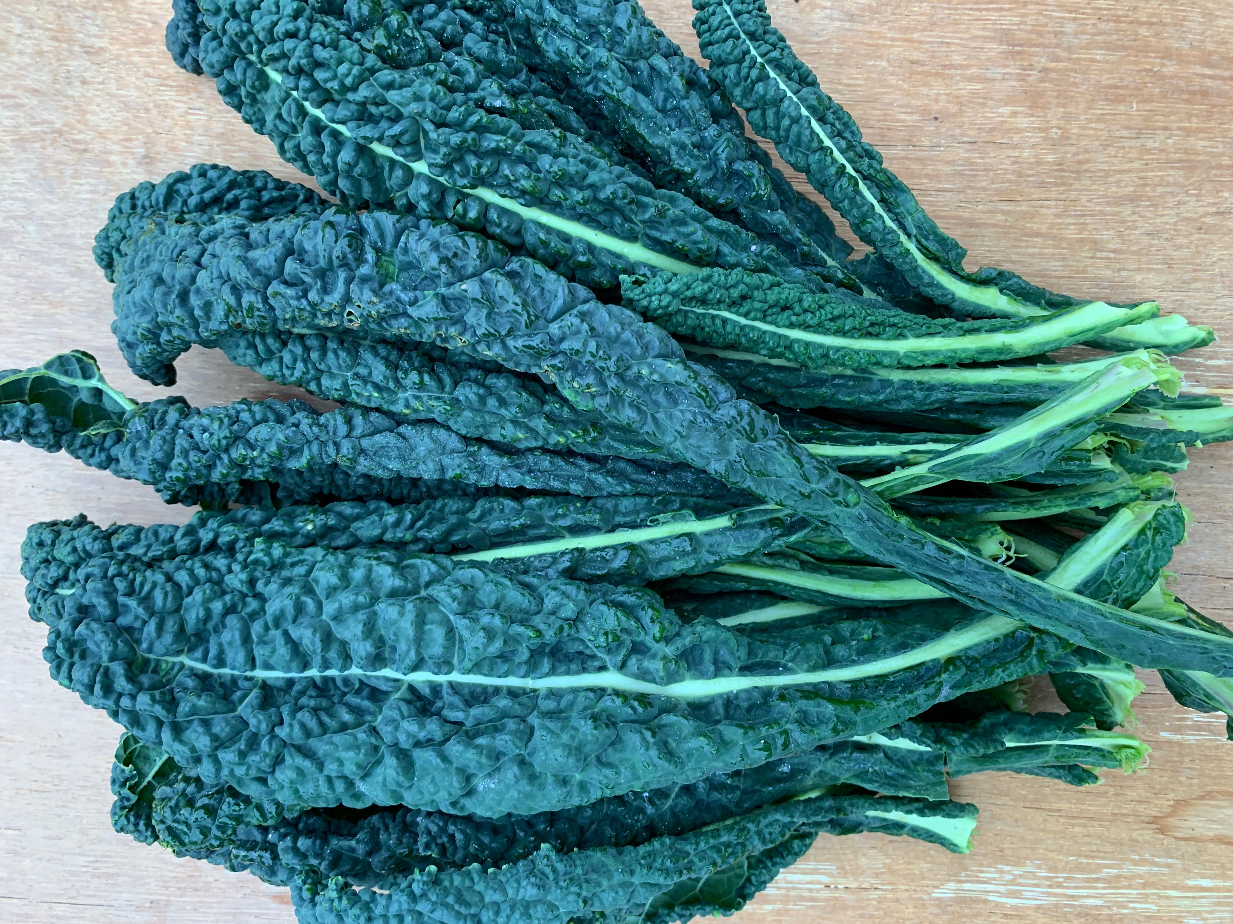 Image of Nero - Kale