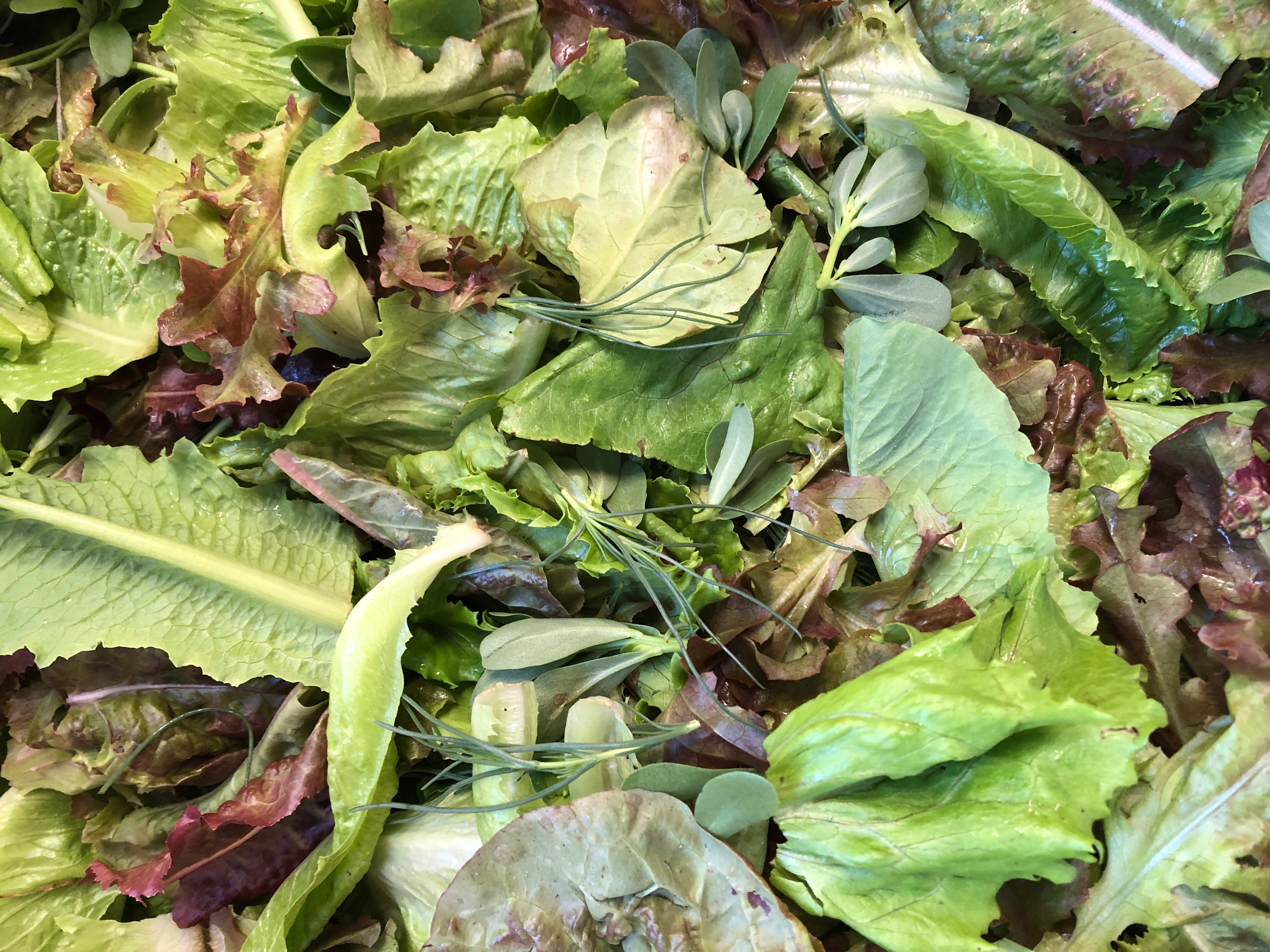 Salad