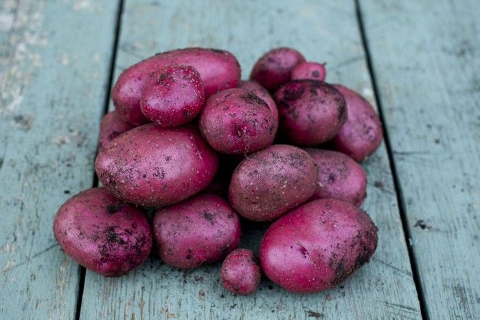 Organic Red Heidi New Potatoes: 500g