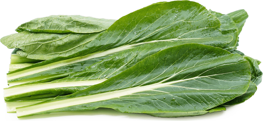Organic Komatsuna (Japanese Mustard Spinach)