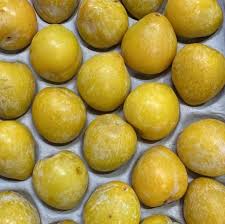Plum - Sungold