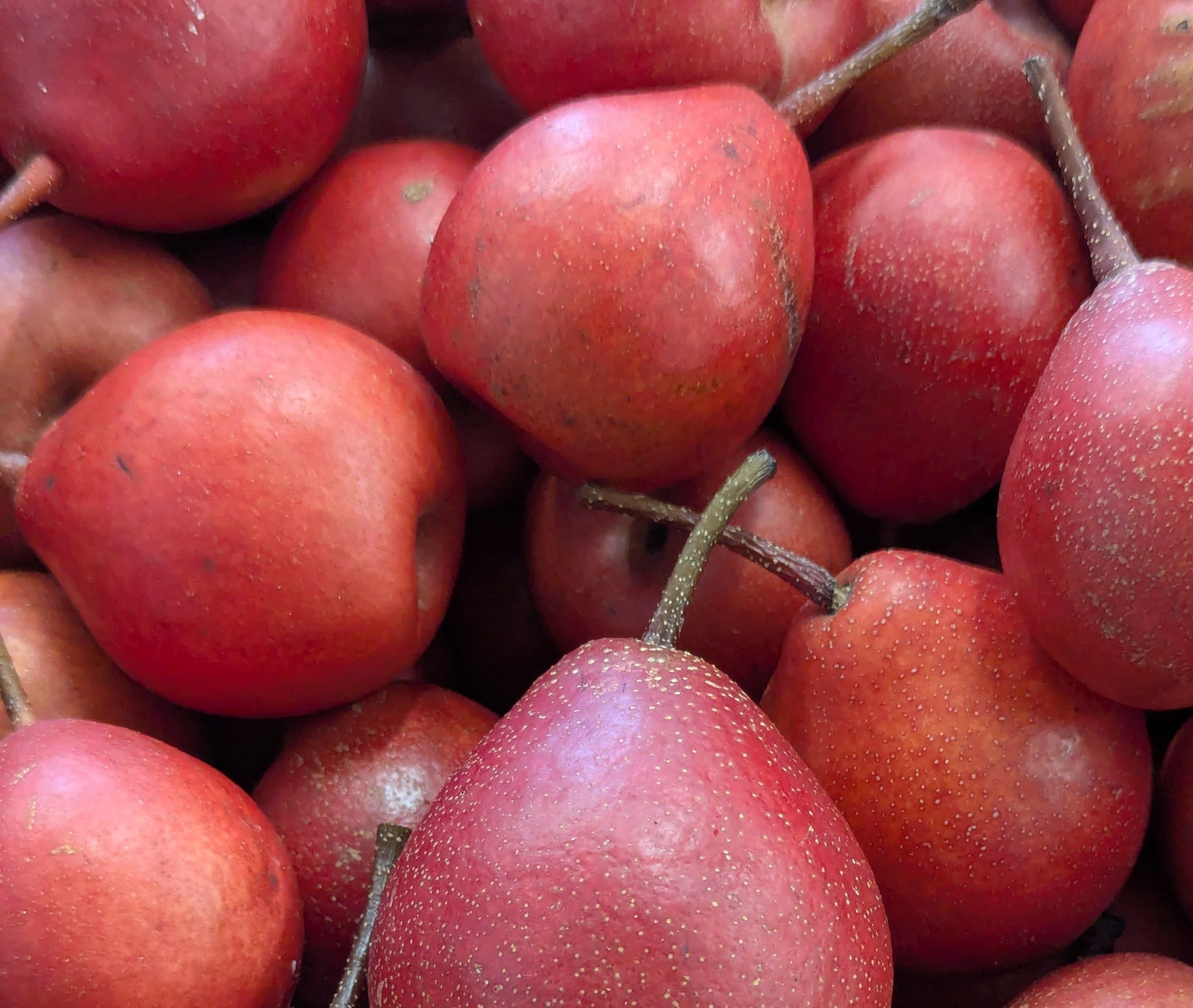 Image of Nashi Pears
