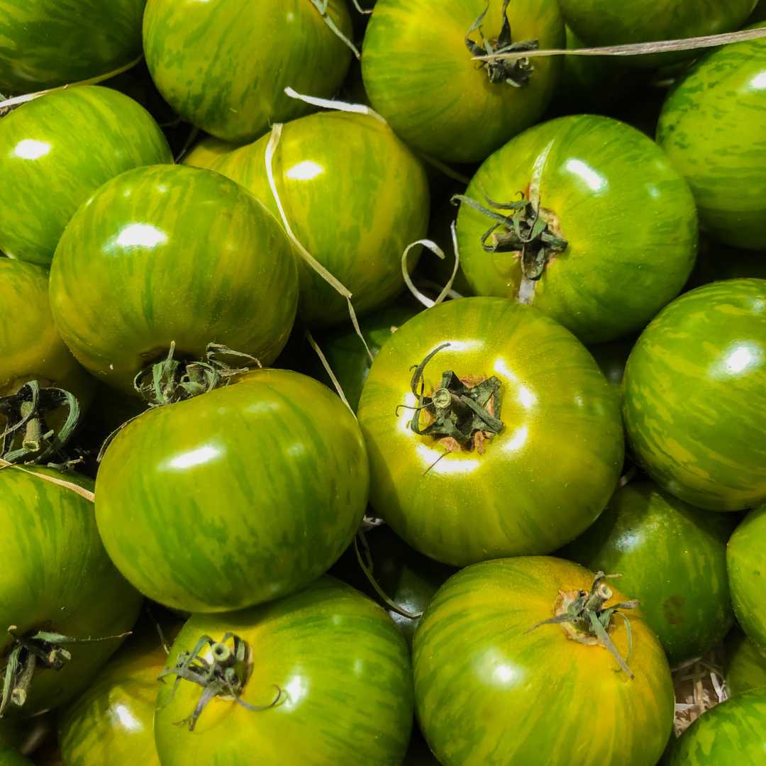 Image of Tomatoes: Zebra Green (Organic)