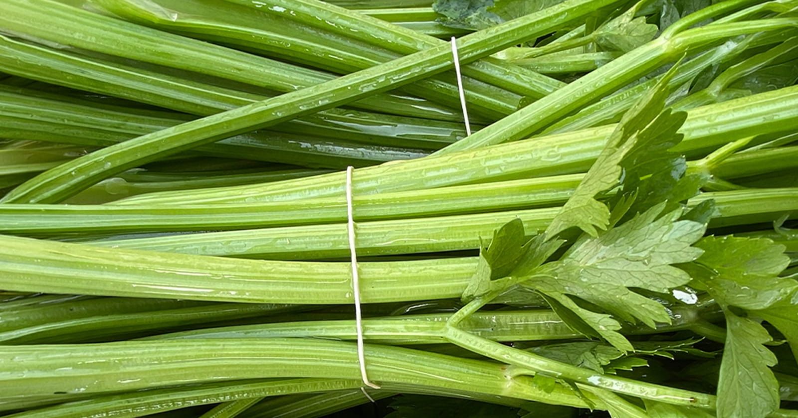 Image of Celery (Bunch of Sticks)