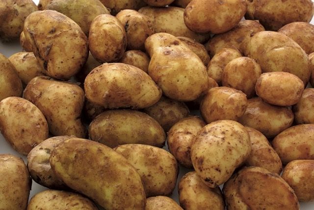 Potatoes - New P4P