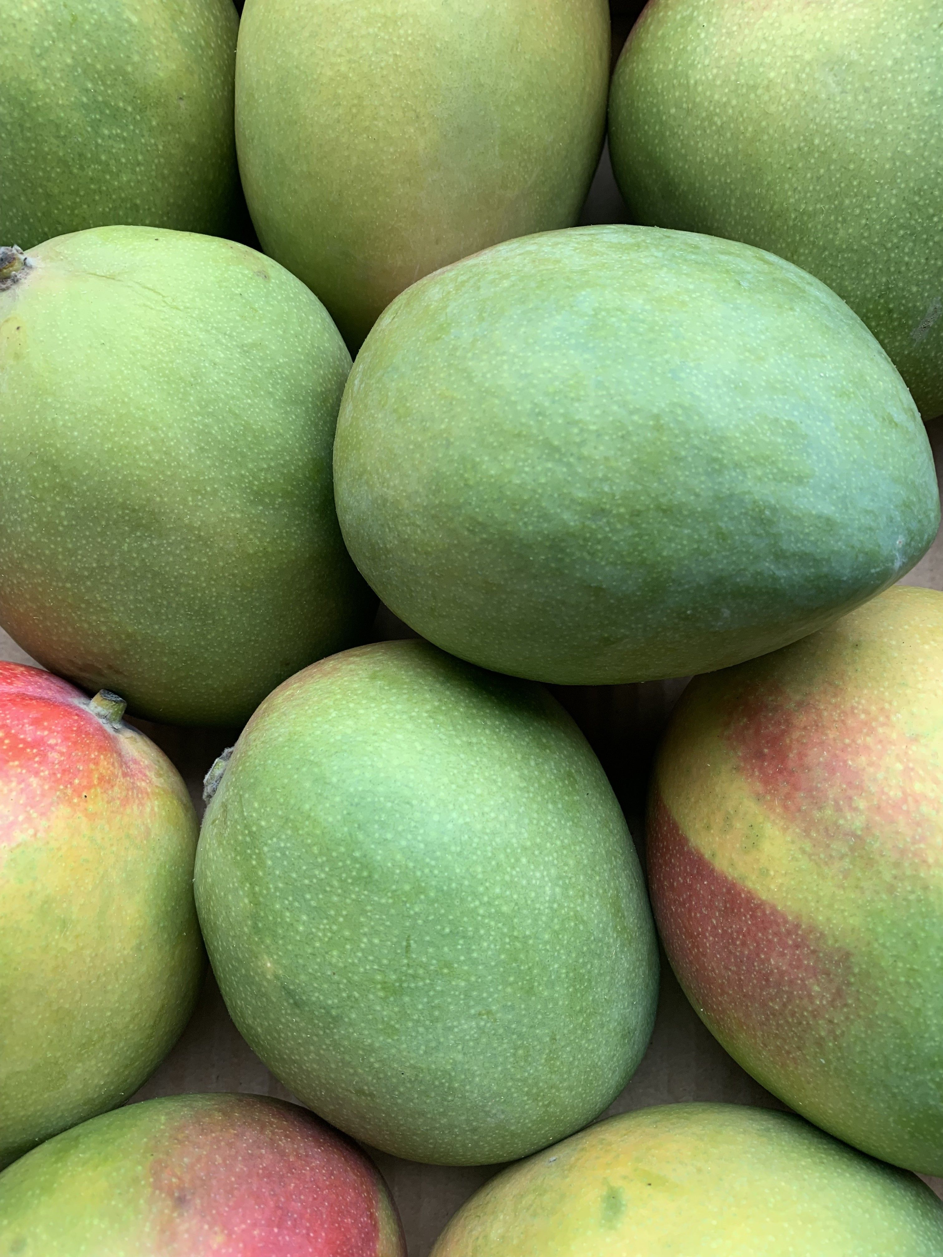 Image of Mango