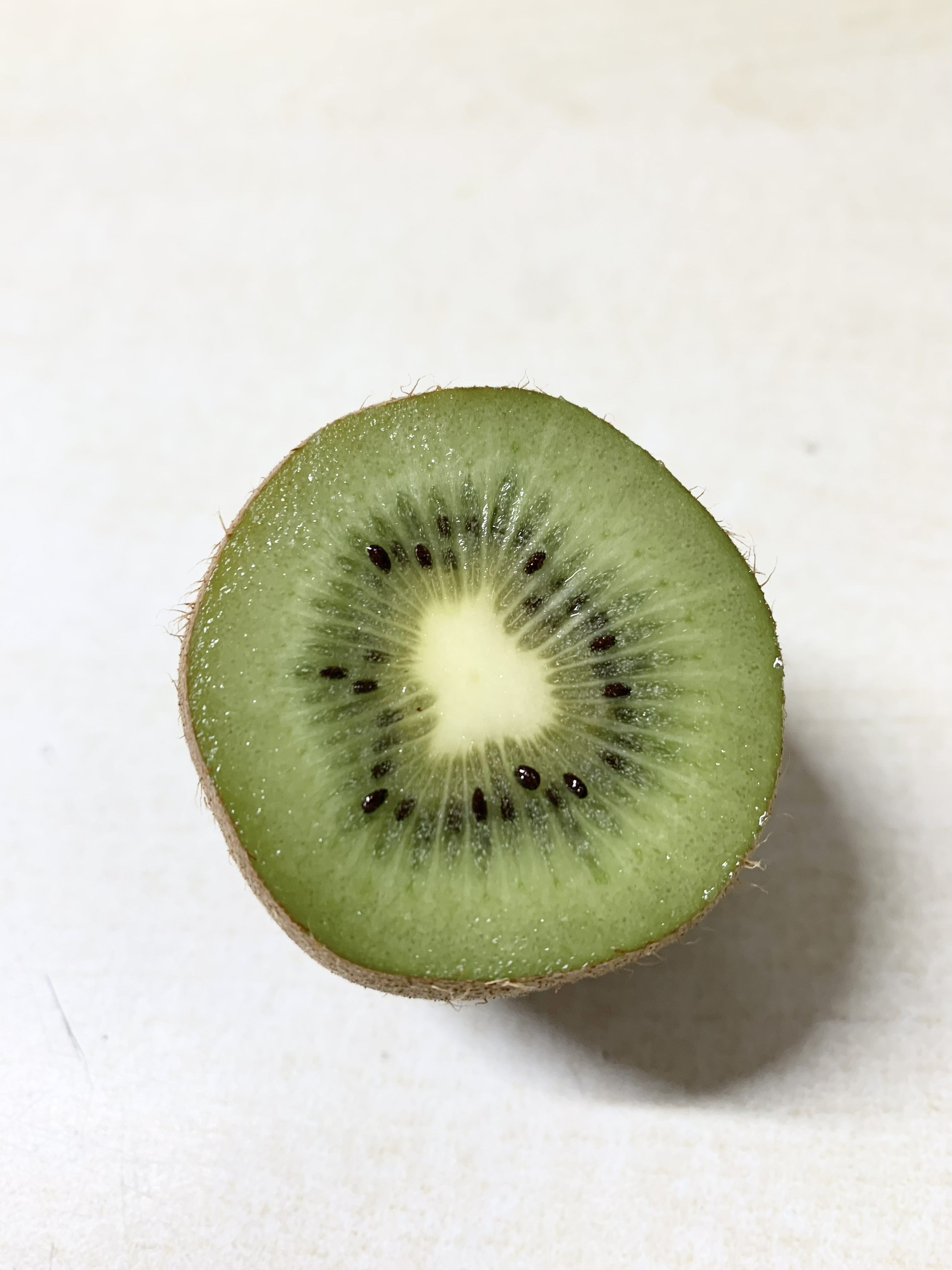 Image of Kiwi