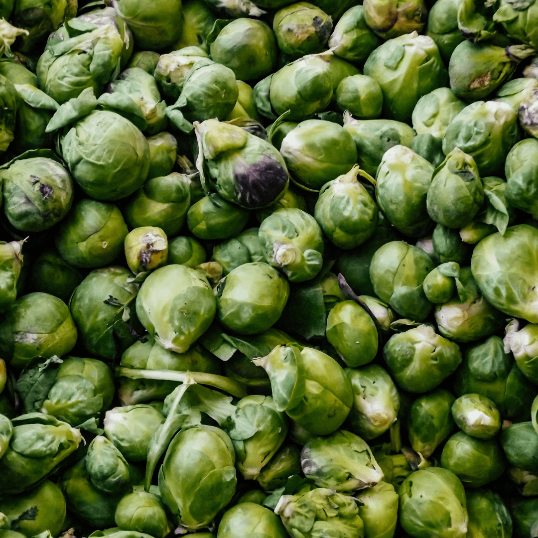 Image of Plentiful Christmas Pre Orders Are OPEN