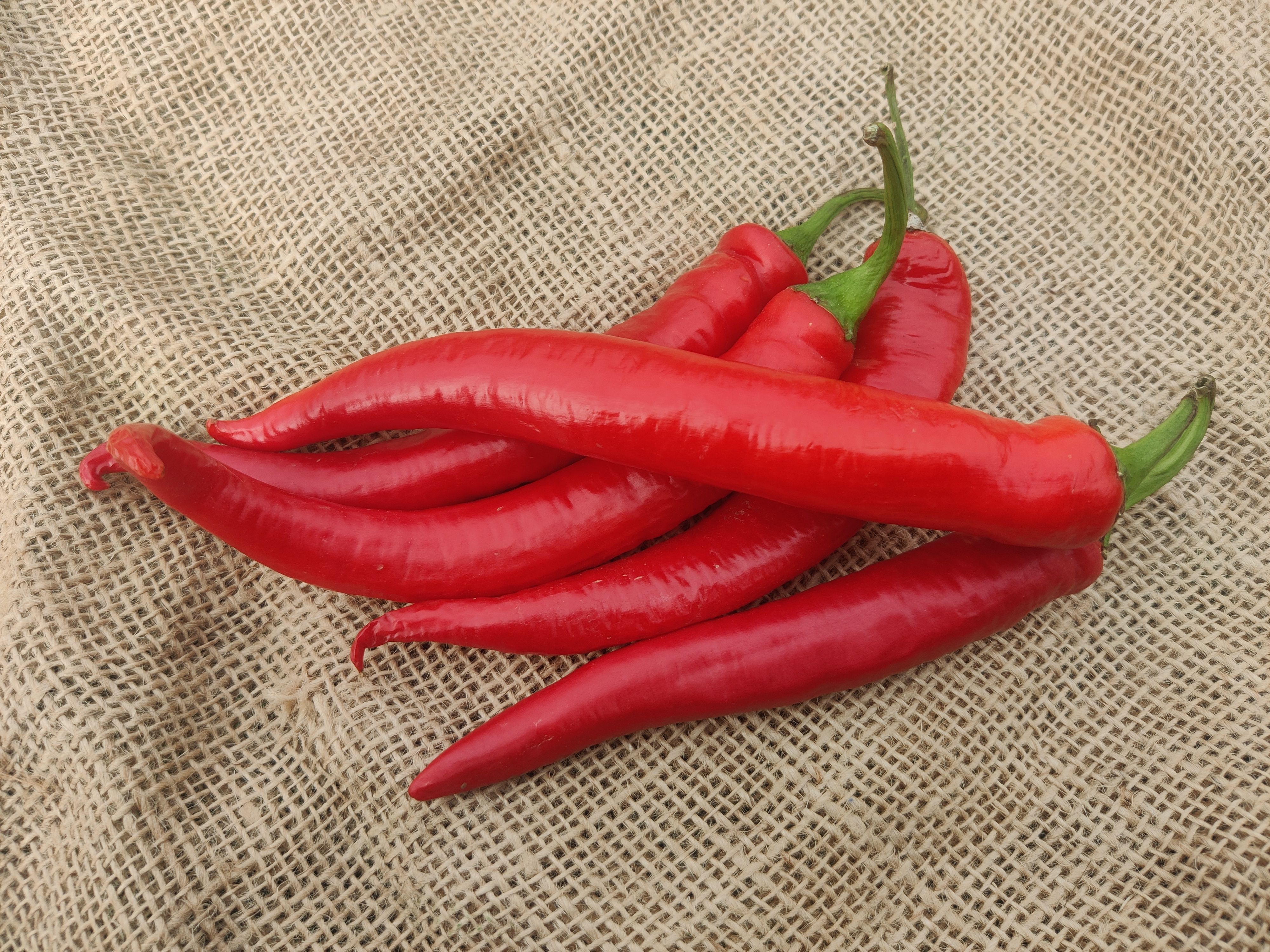 Image of Chillies, mild (Forty Hall Farm)