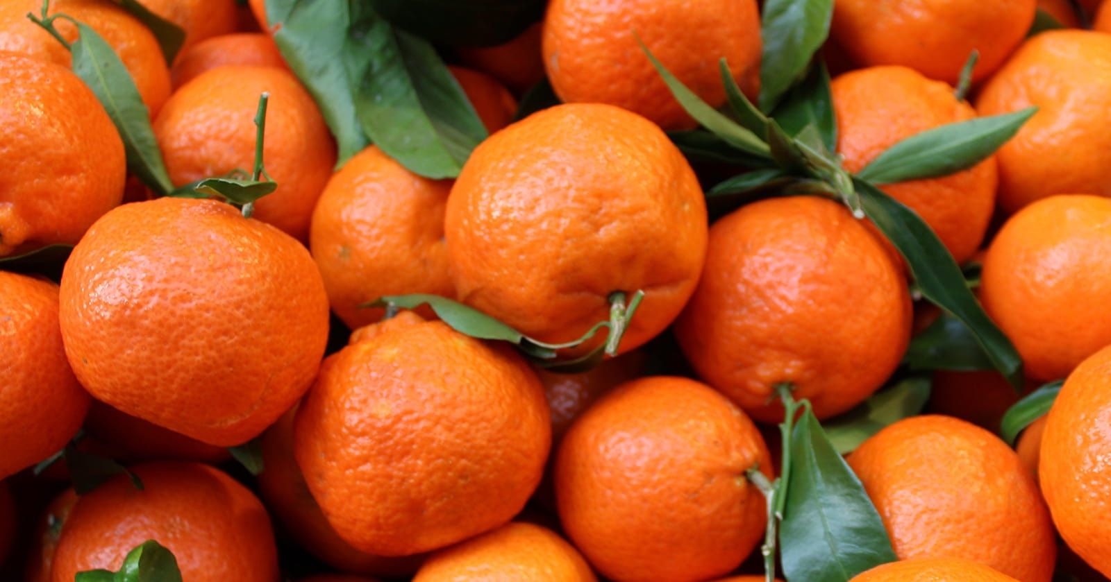 Image of Clementines (500g)