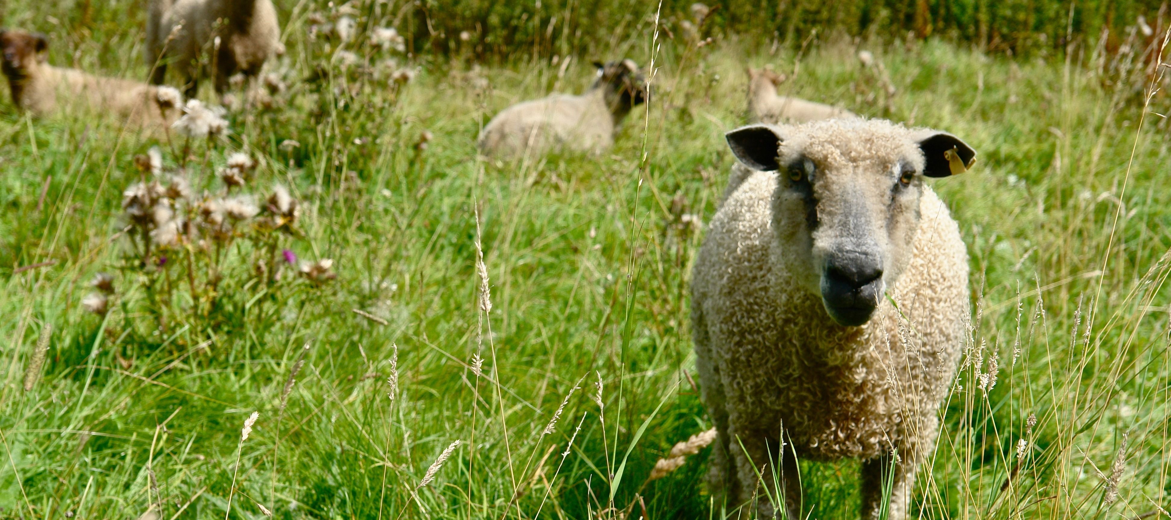 Image of Izzy Lane Knitwear