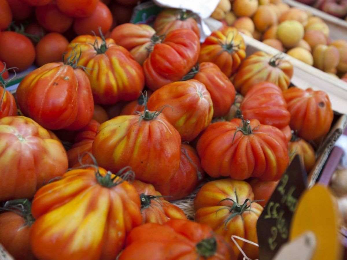 Tomatoes - Coeur De Beouf