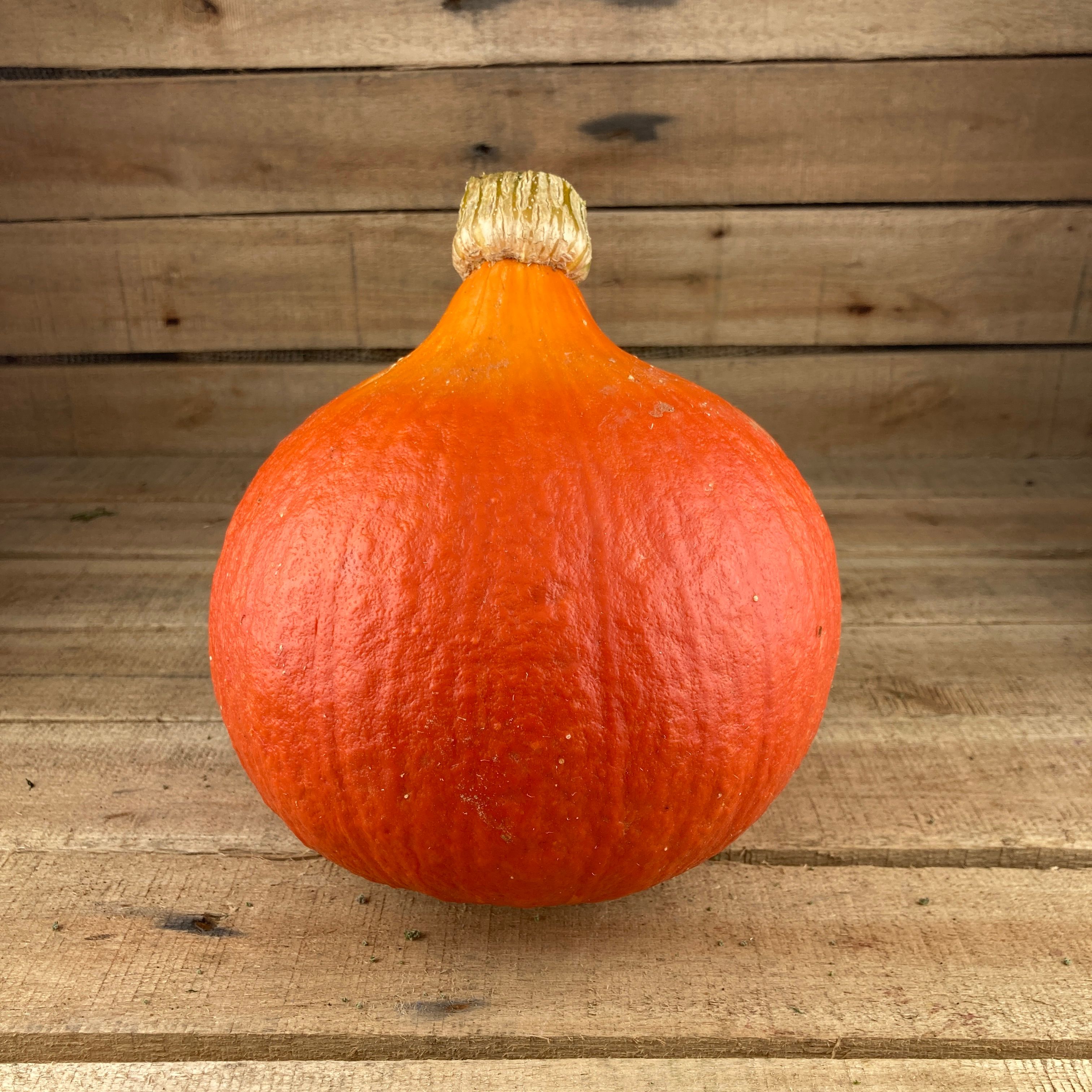 Uchiki Kuri Squash