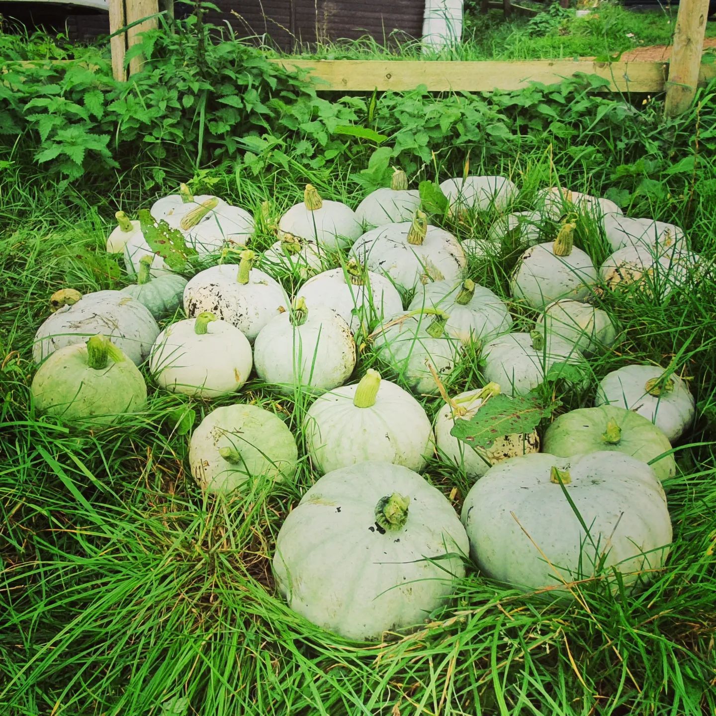 Image of Meet the Family