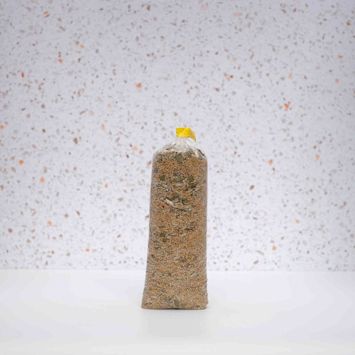 Organic Omega Four Seed Mix