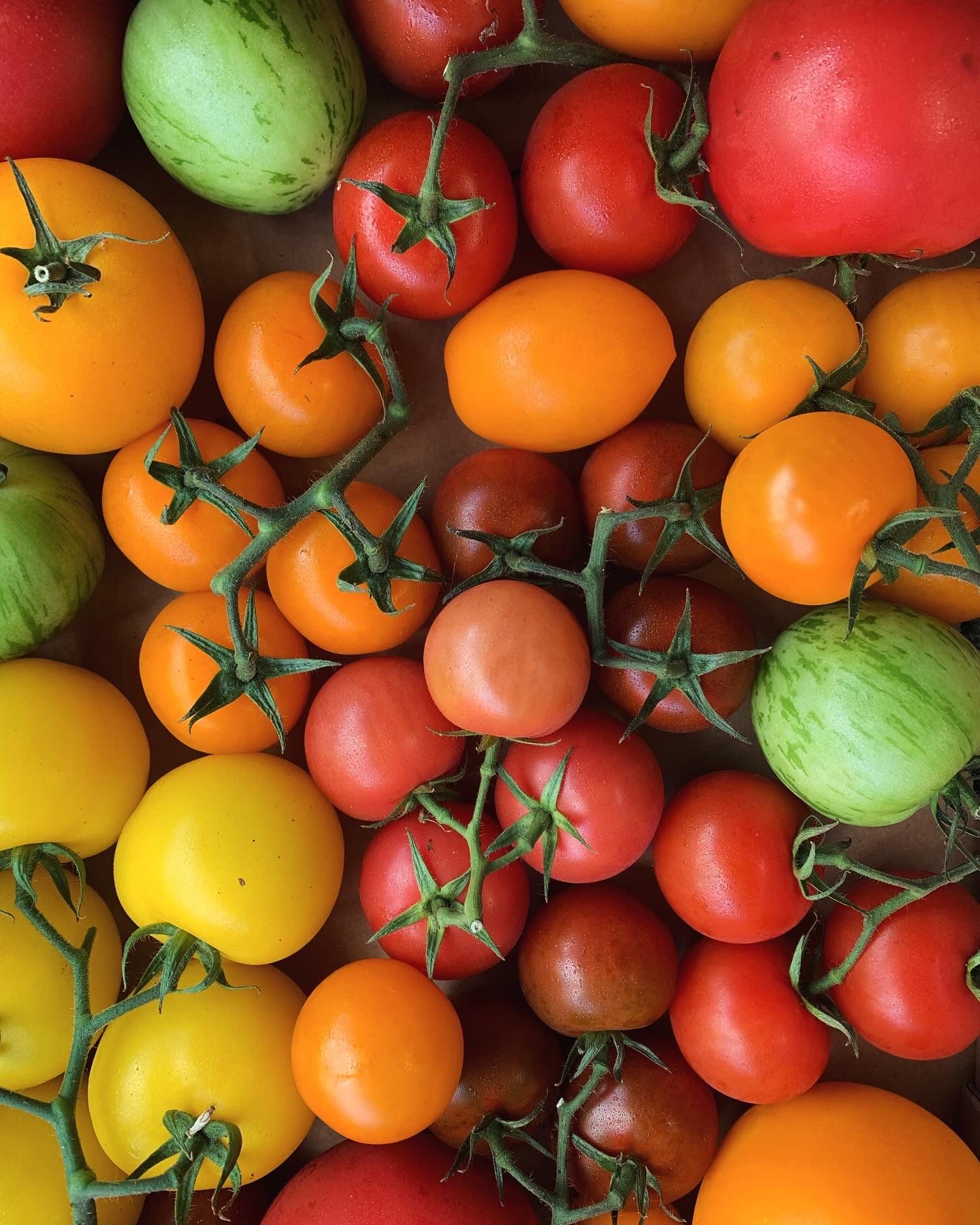 Image of Choose Organic