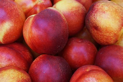 Nectarines