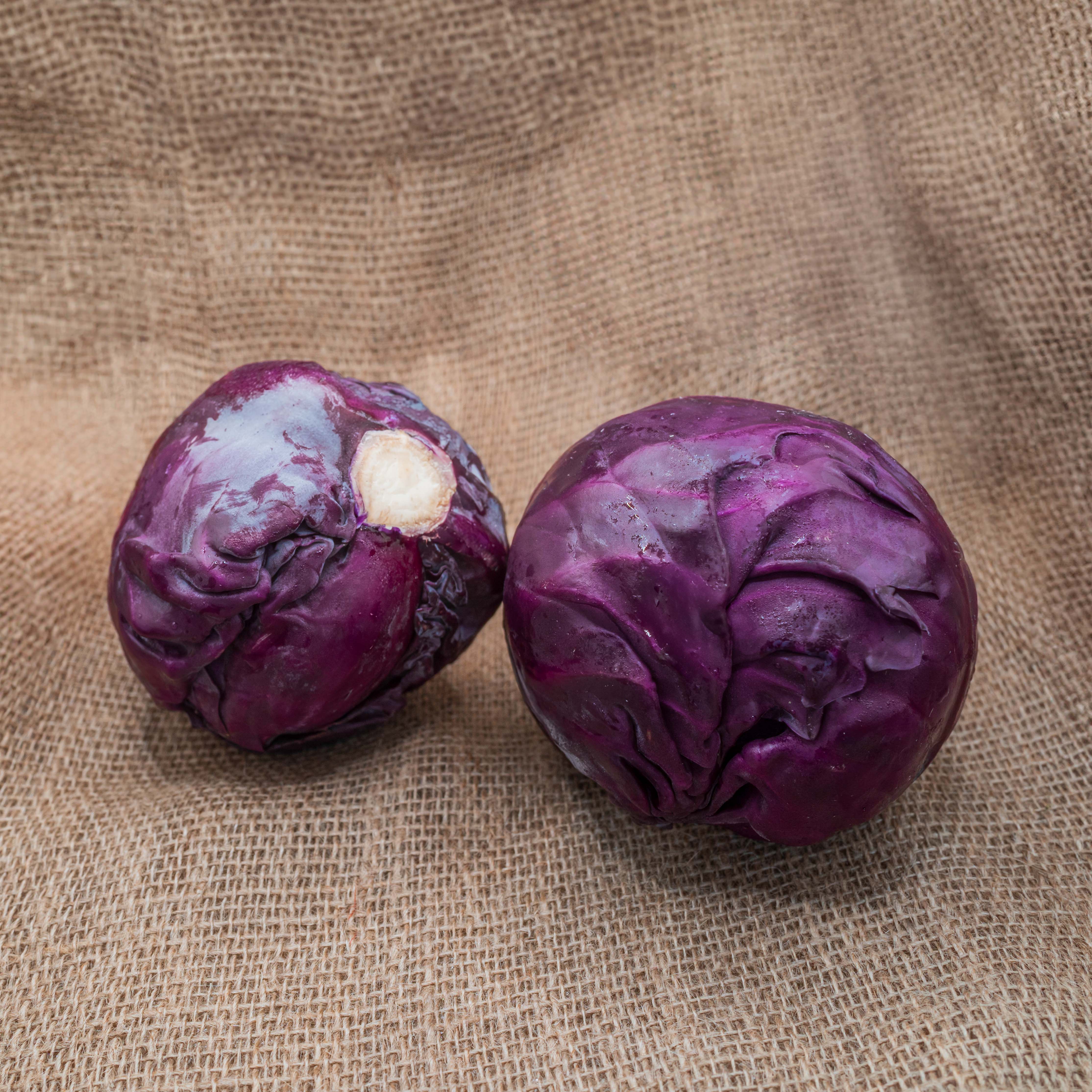 PYO Cabbage - Red