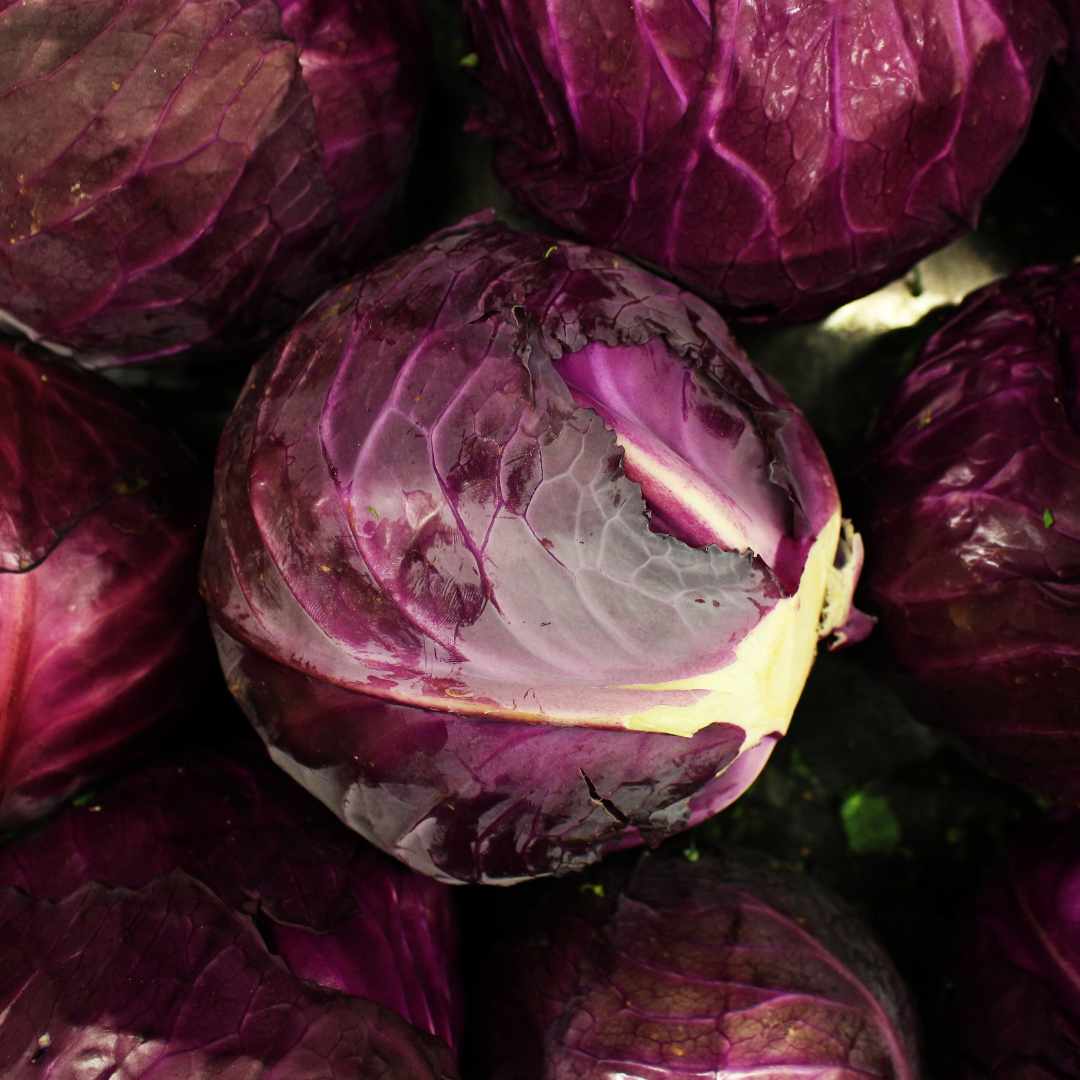 Red Cabbage (Organic)