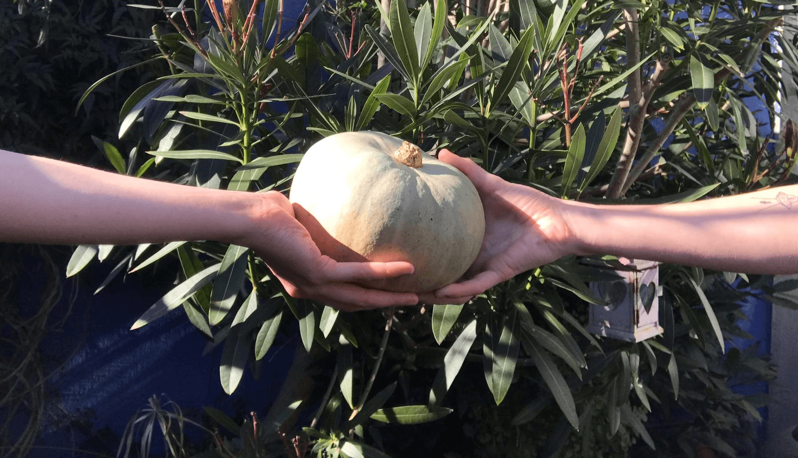 Image of Solidarity Scheme