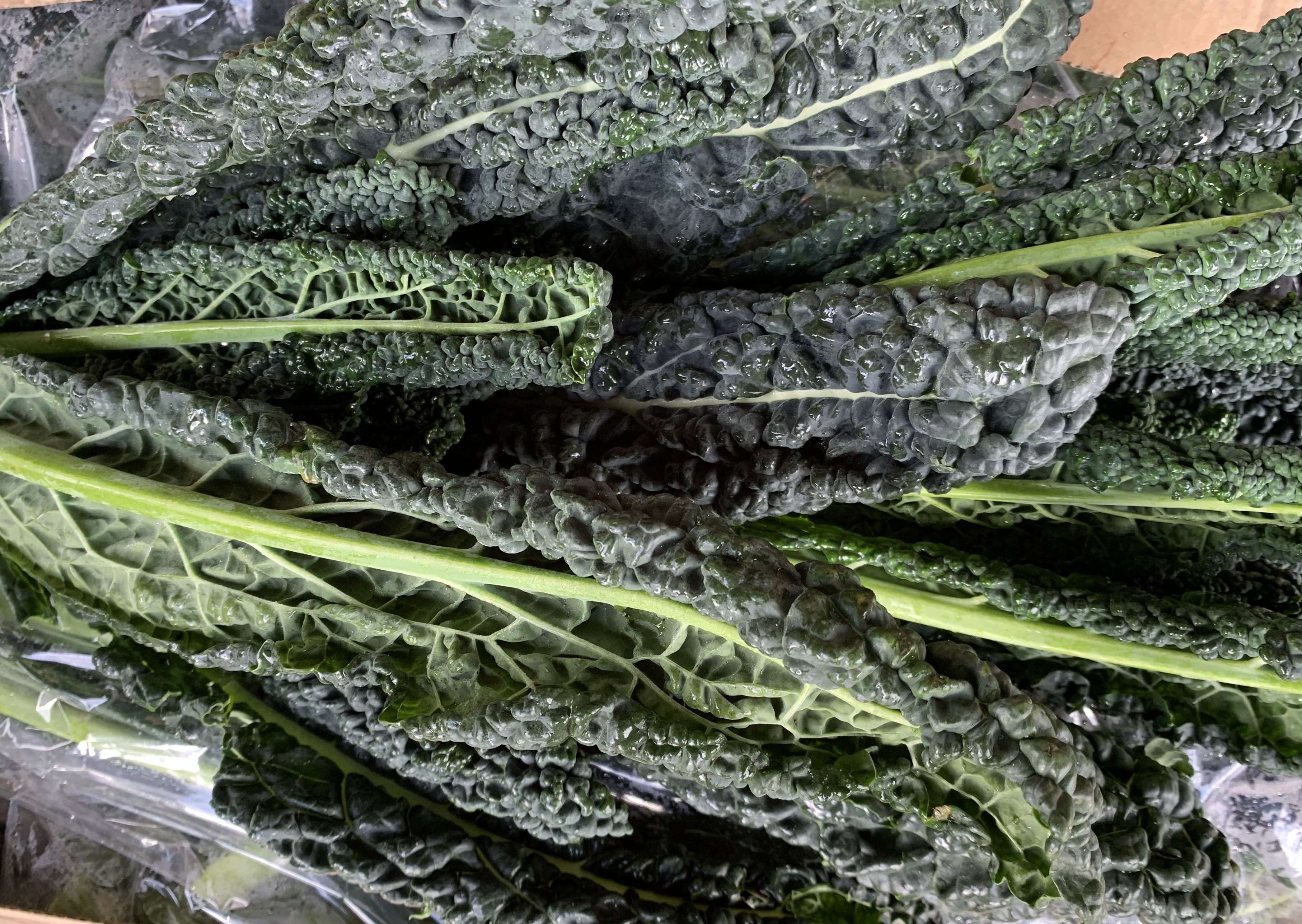 Image of Cavolo Nero
