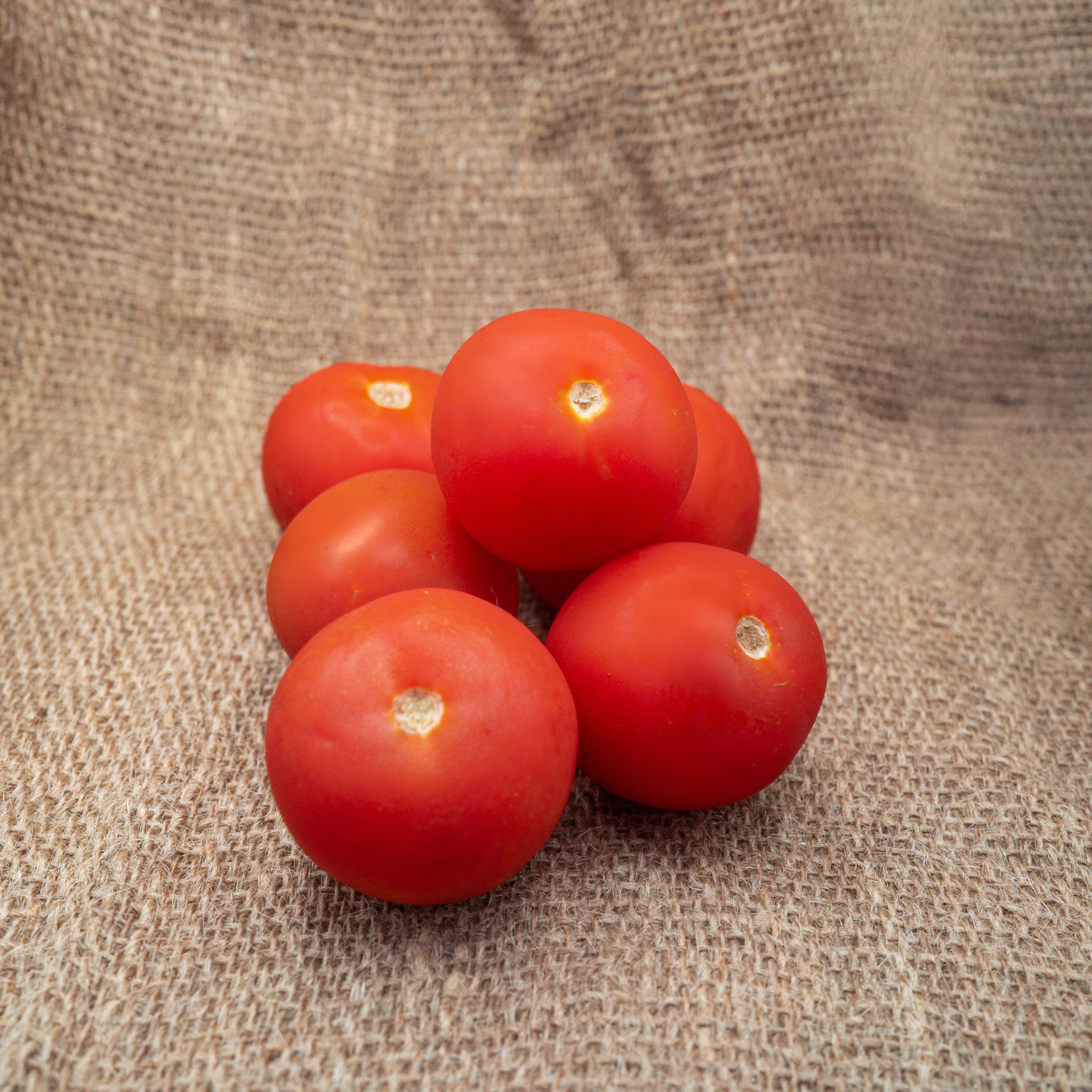 PYO Tomatoes