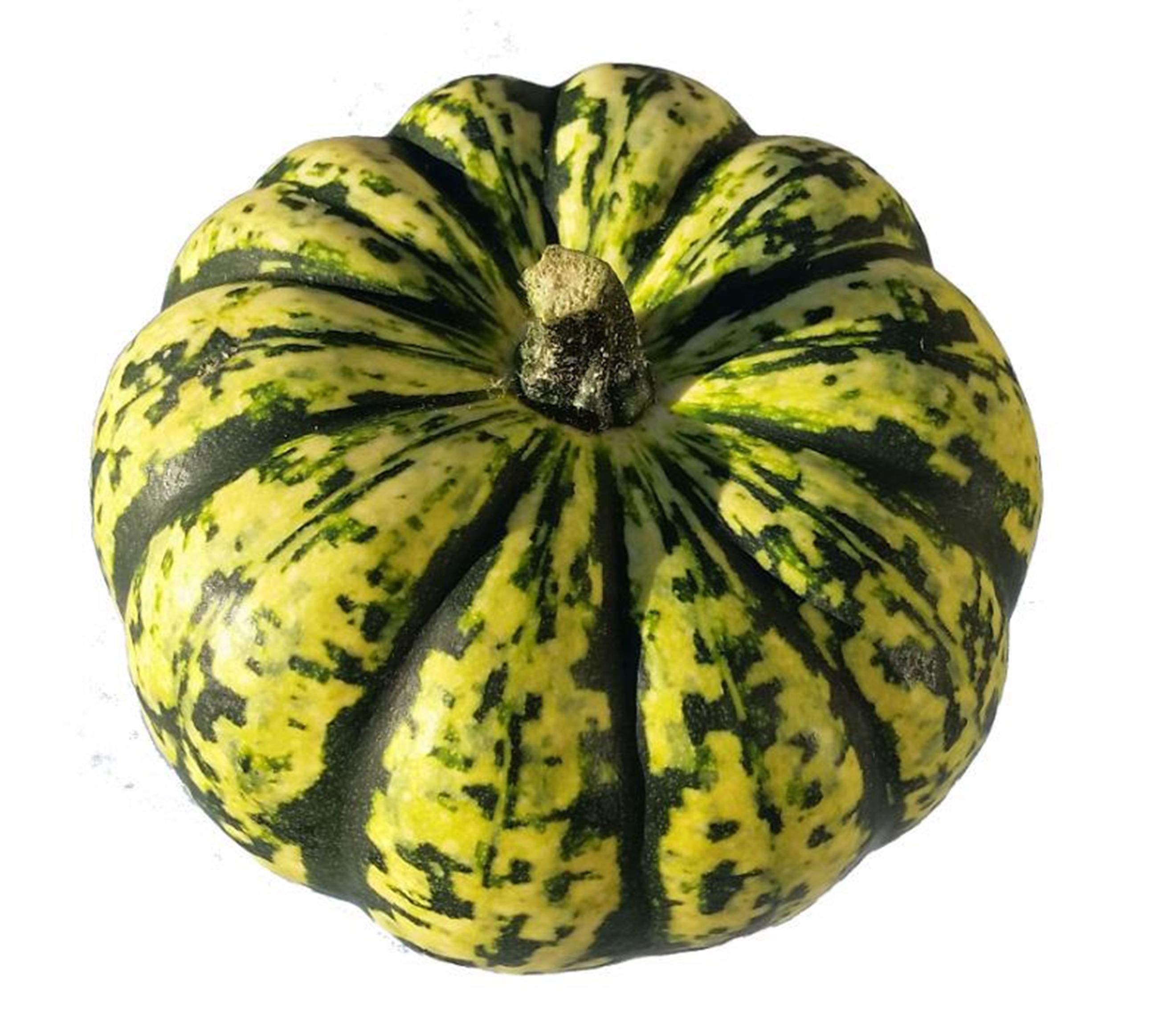 Organic Harlequin Squash