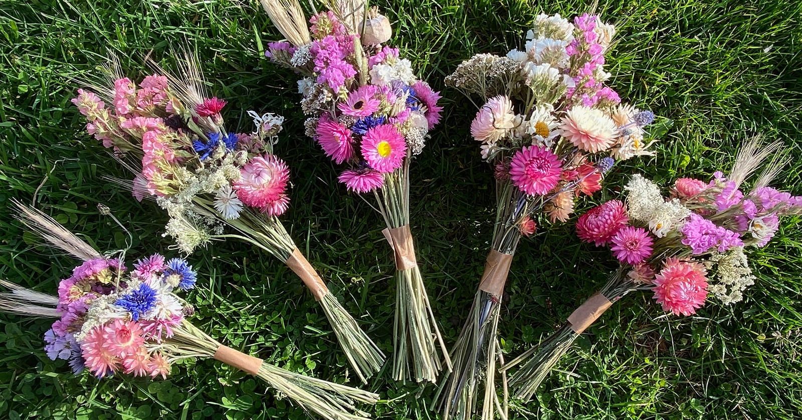 Image of Dried Flowers, Bunch (Small)