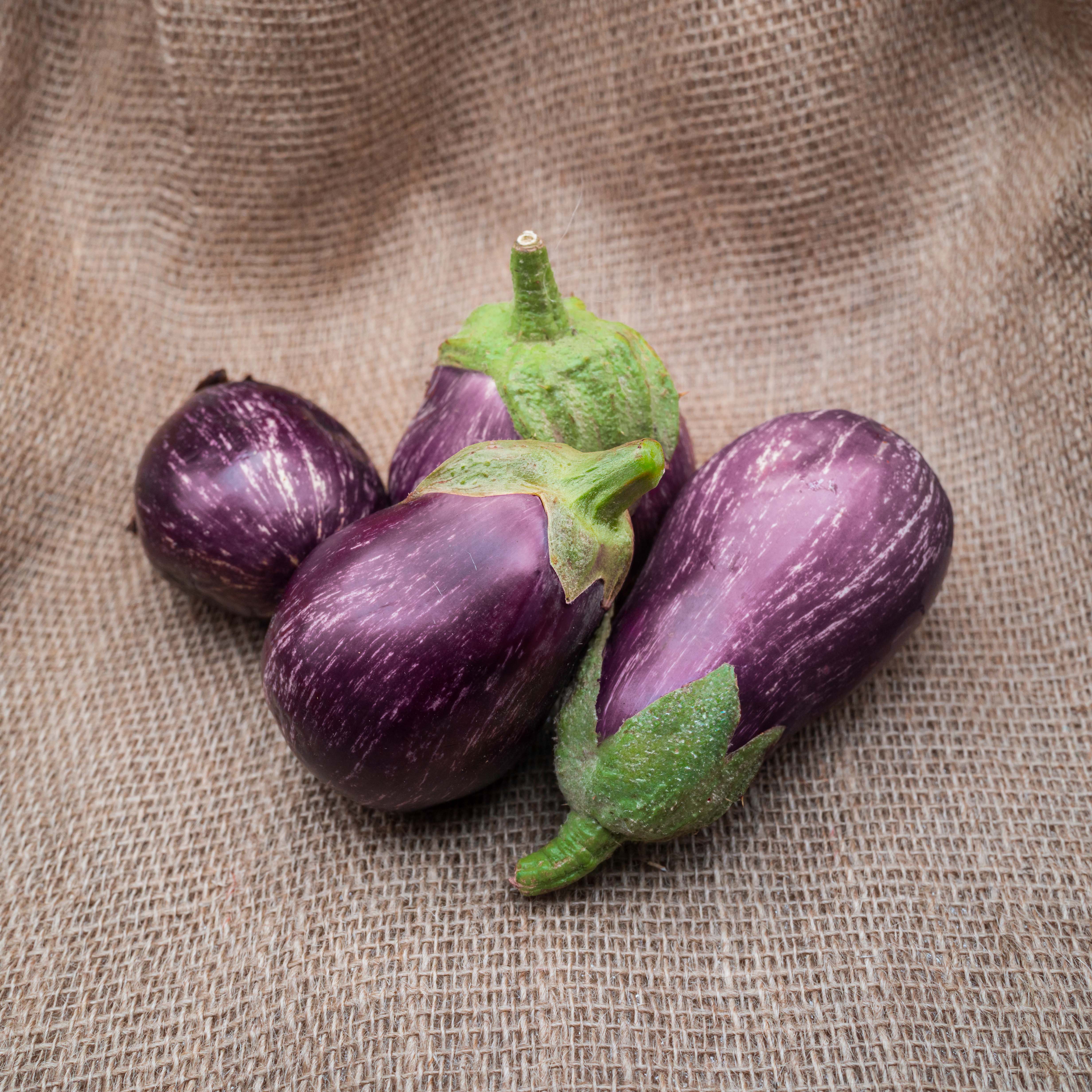 PYO Graffiti Aubergine