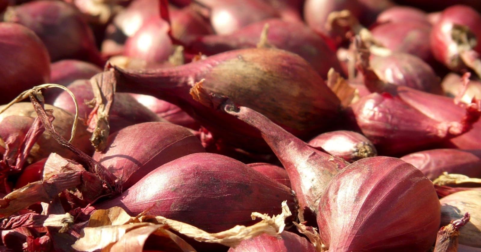 Image of Shallot (300g)