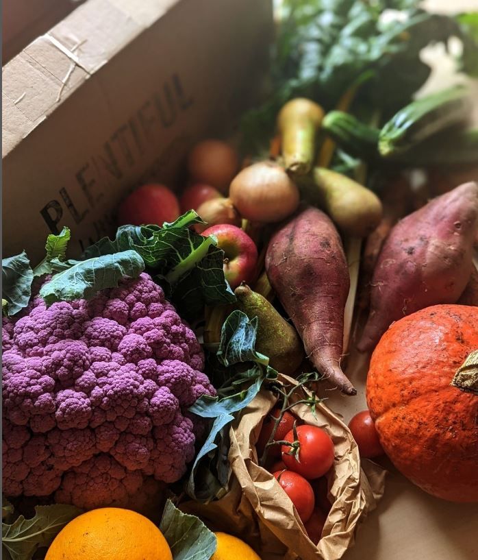 Image of How to Order & FAQs