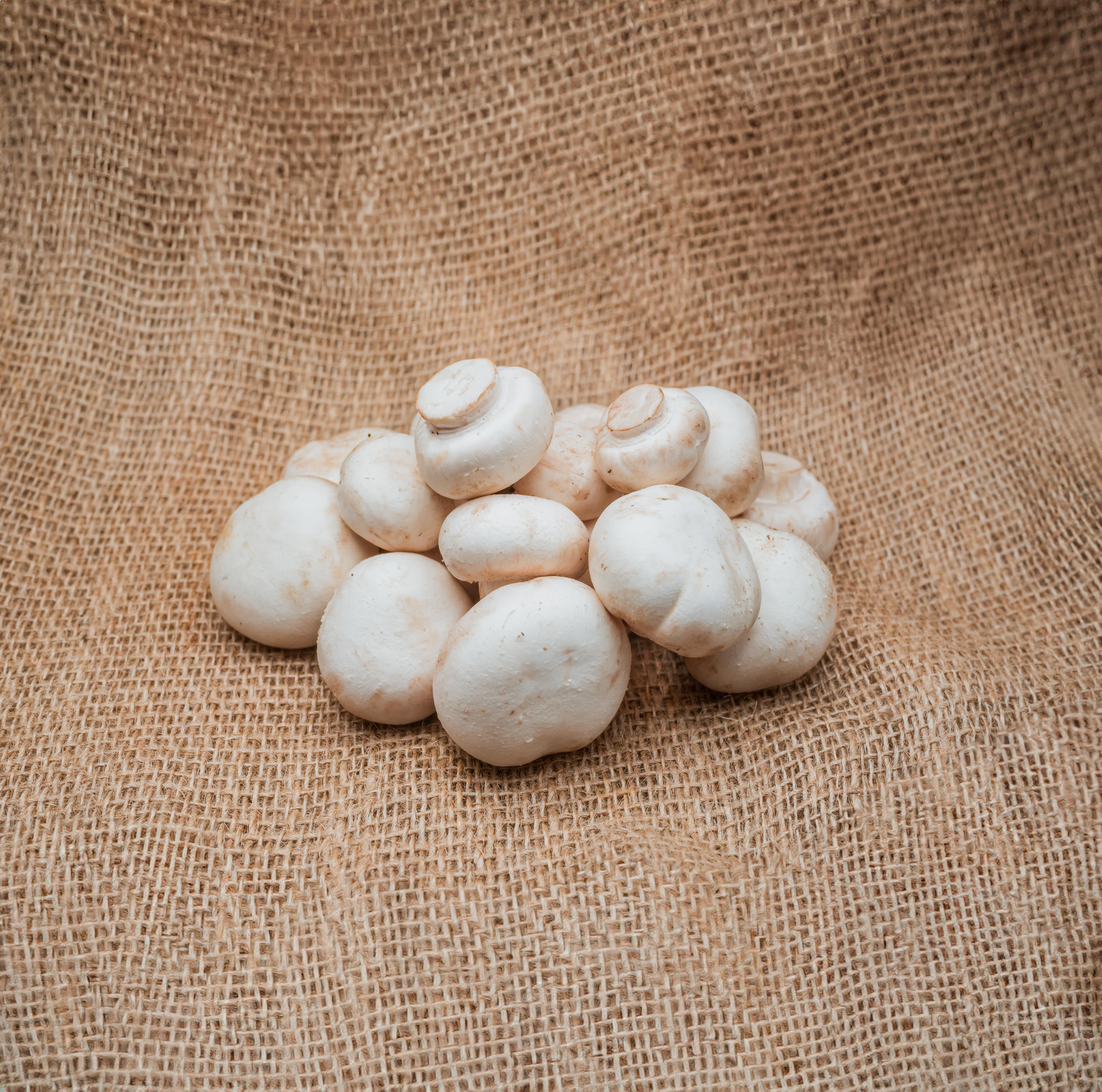 PYO Mushrooms - White