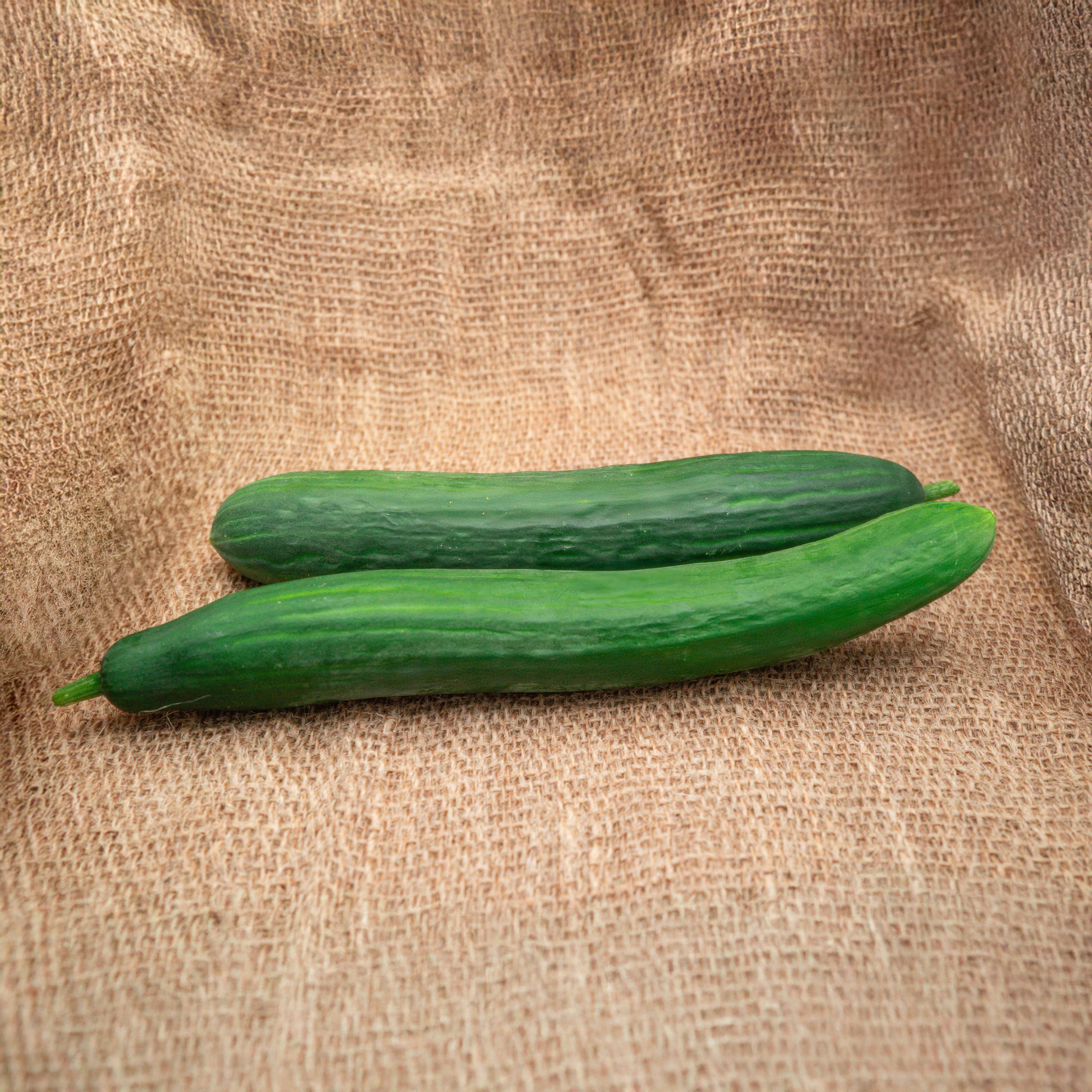 PYO Cucumber