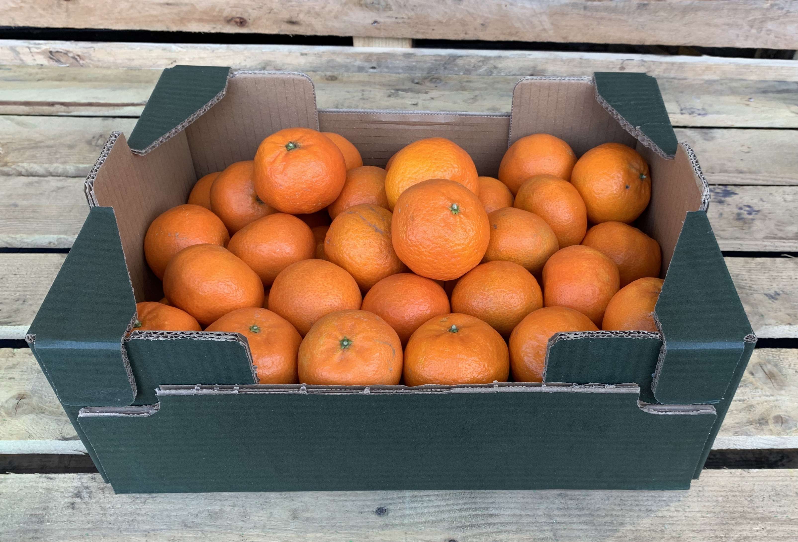 Image of Clementines