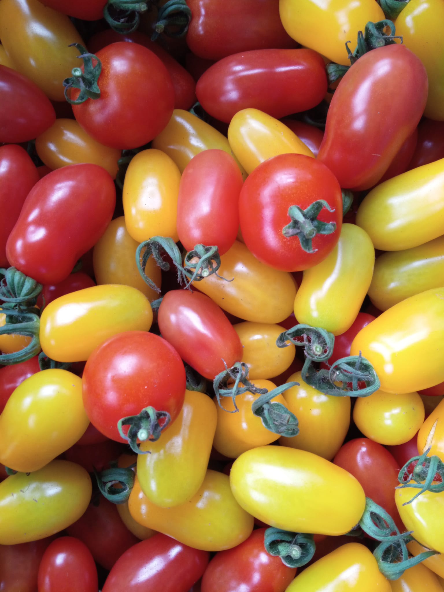Tomato bach melys / Cherry tomato 