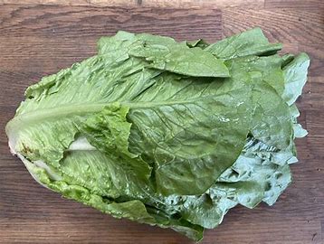 Cos Lettuce