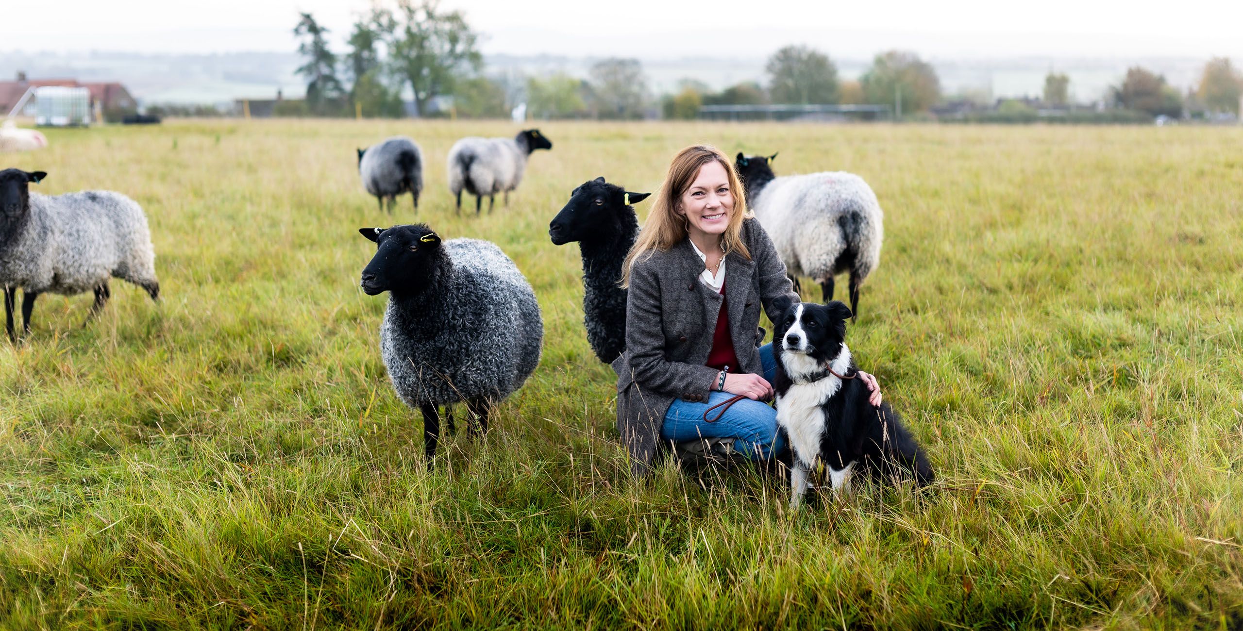 Image of Rose Dale's Beef