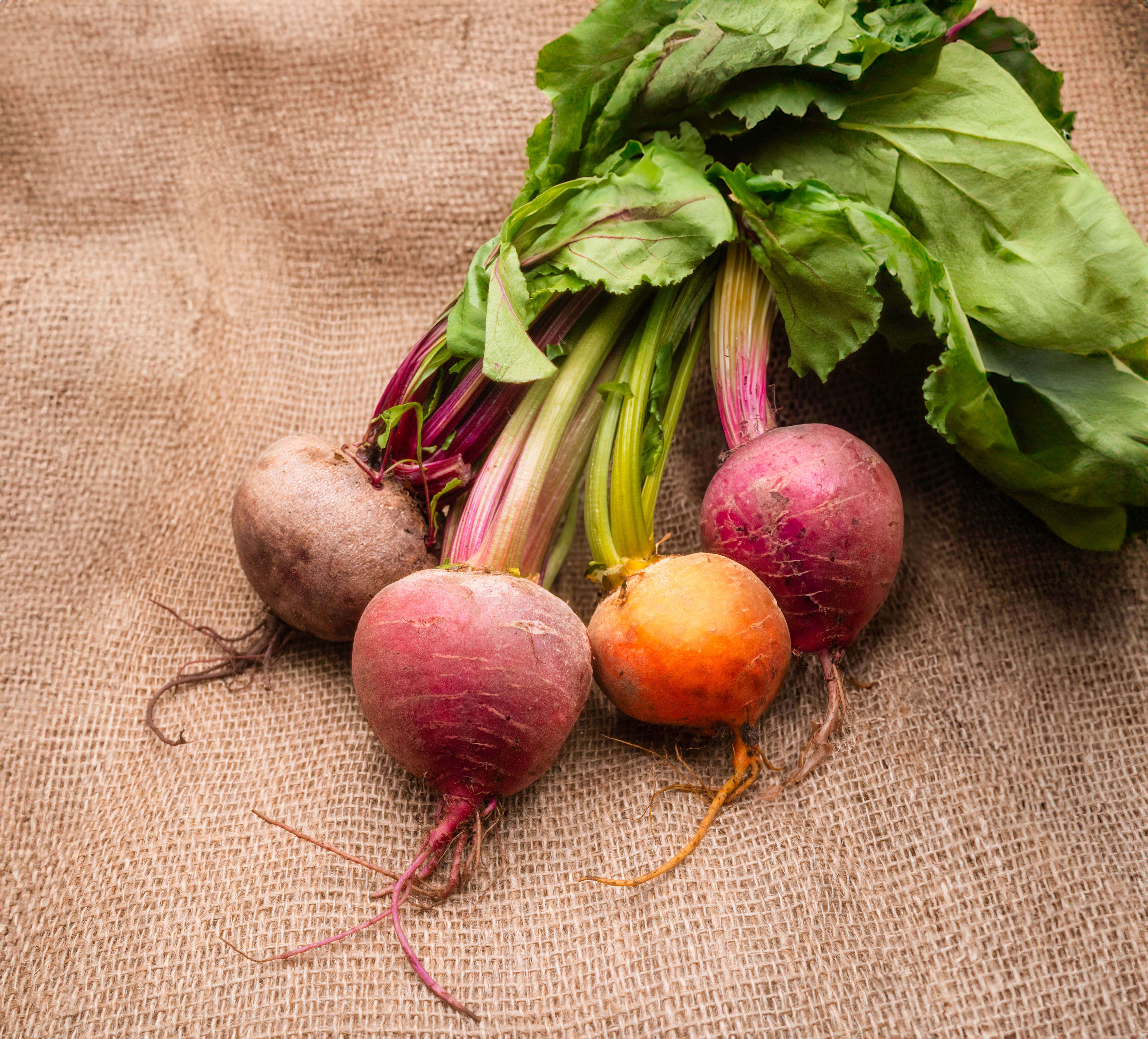 PYO Rainbow Beetroot