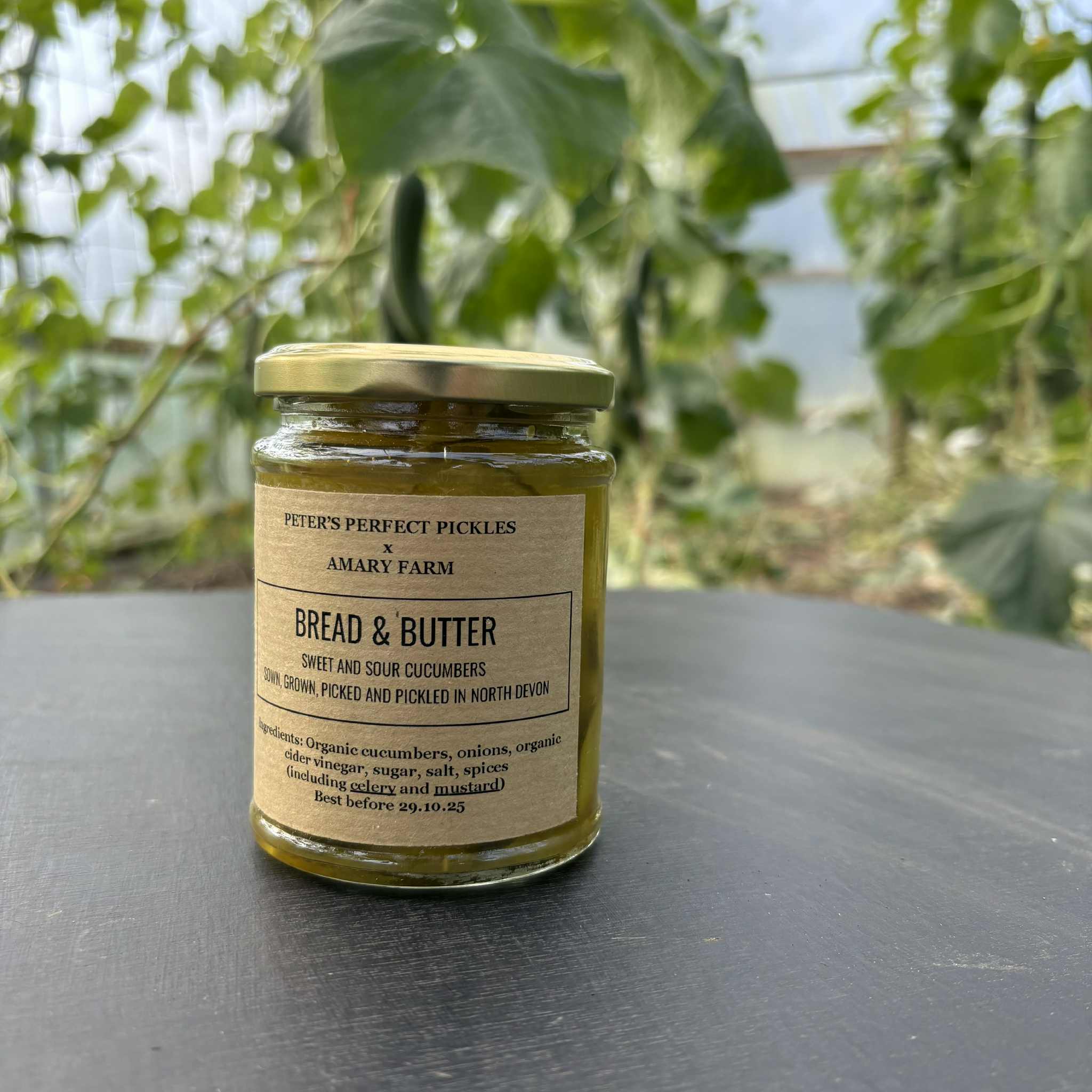 Bread & Butter Pickle