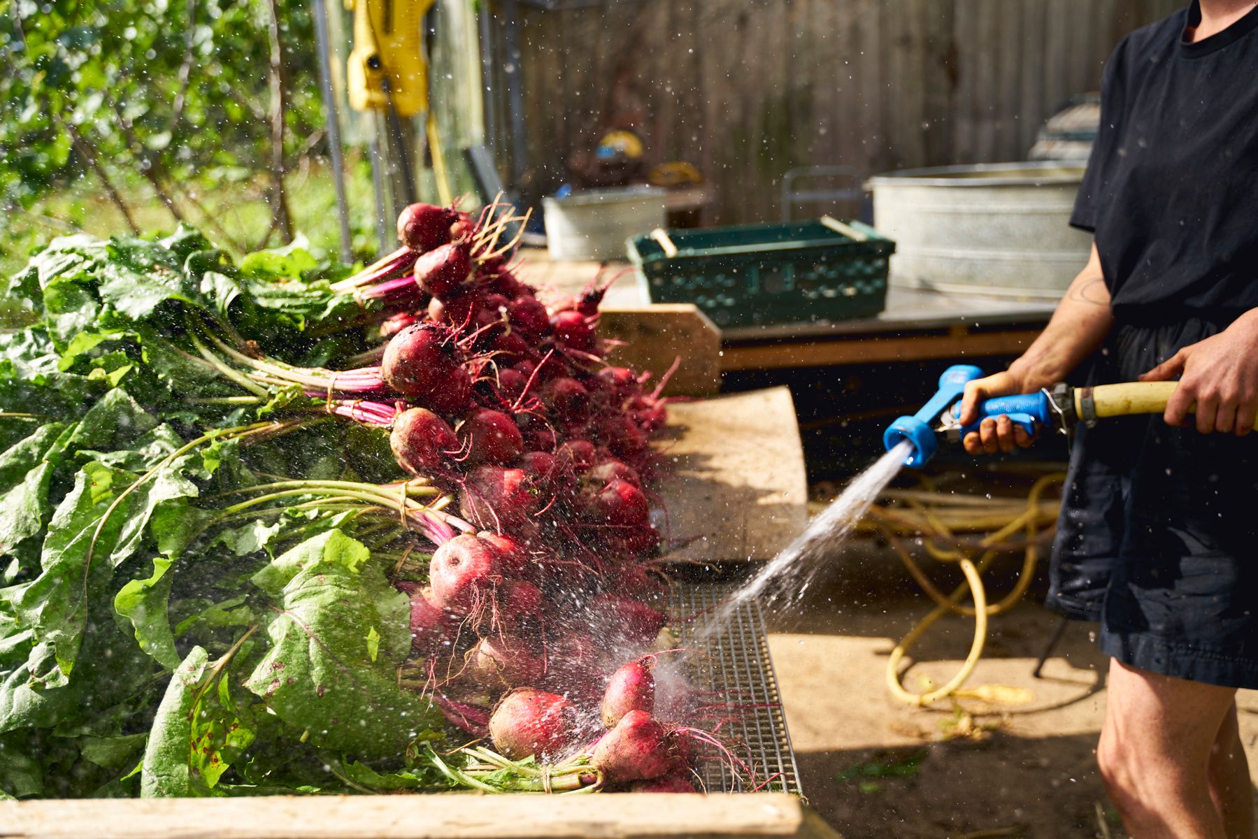 Image of Veg preparation tips