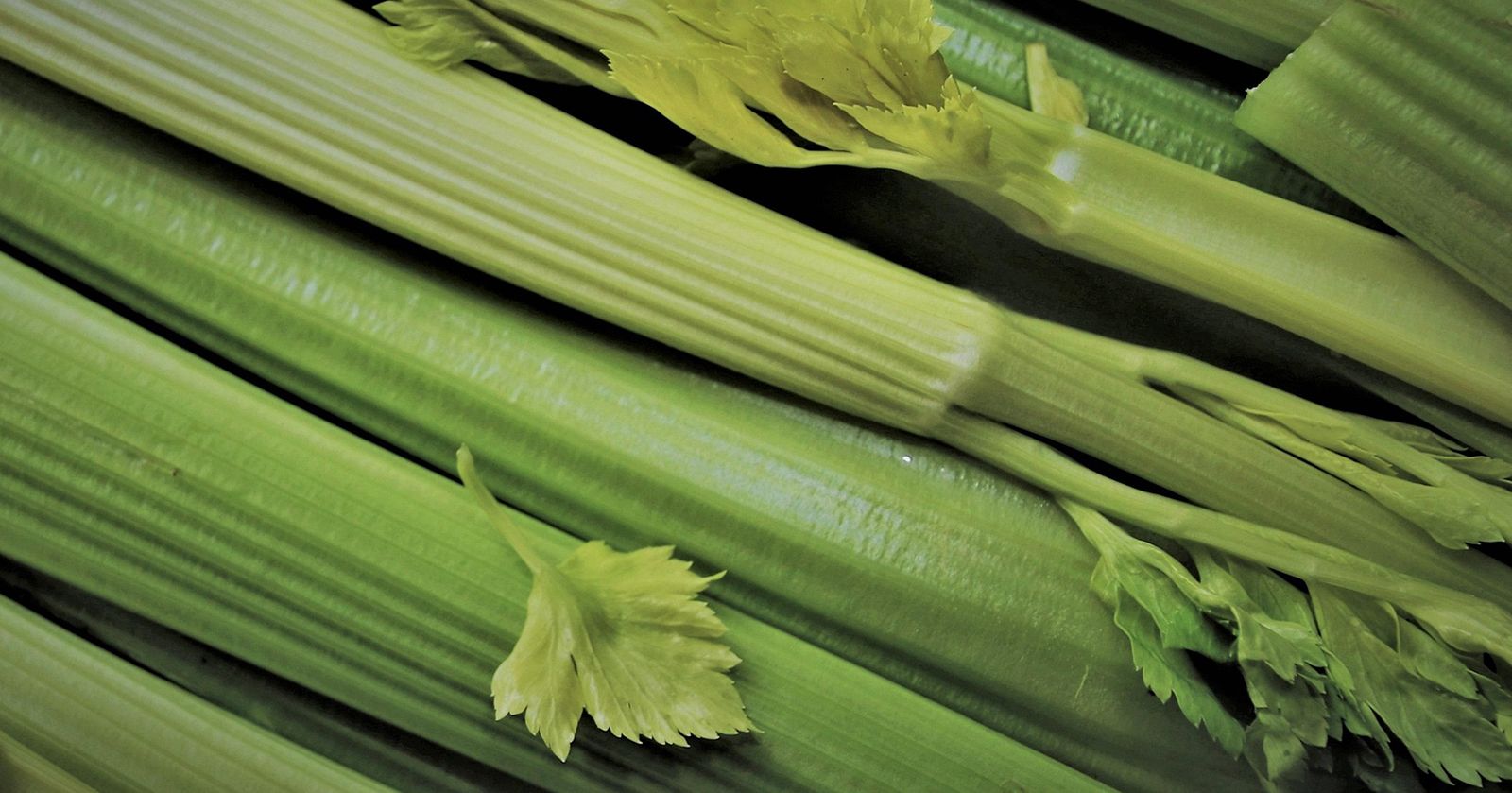Image of Celery